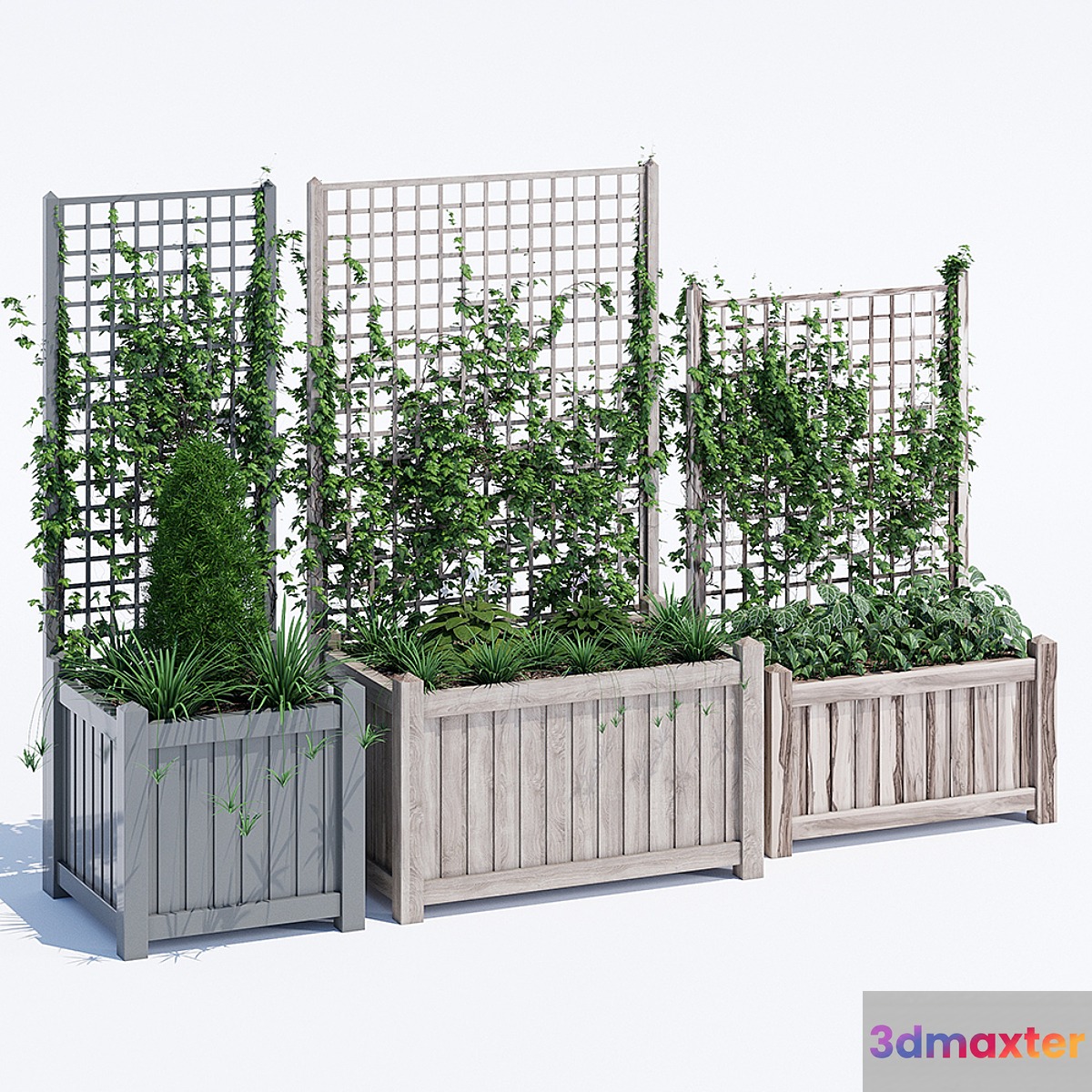 Square trellis