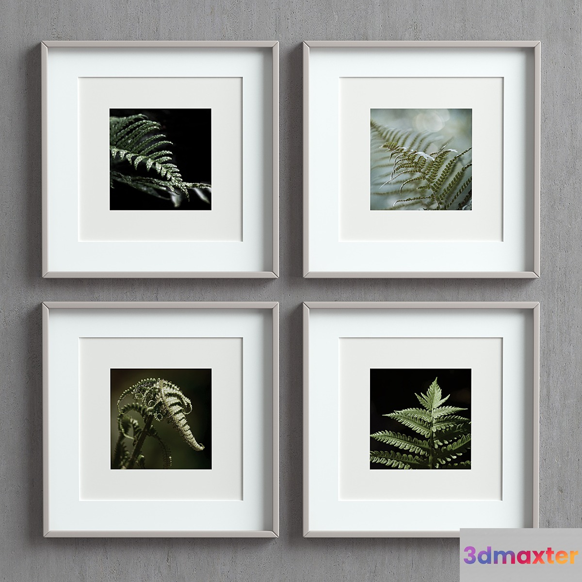 Picture Frames Set-50