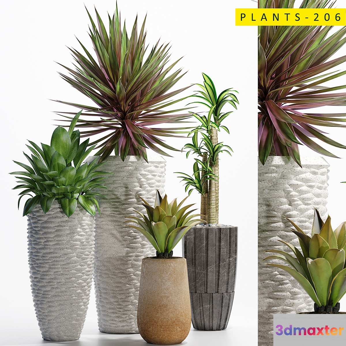 plants_206 3D Max
