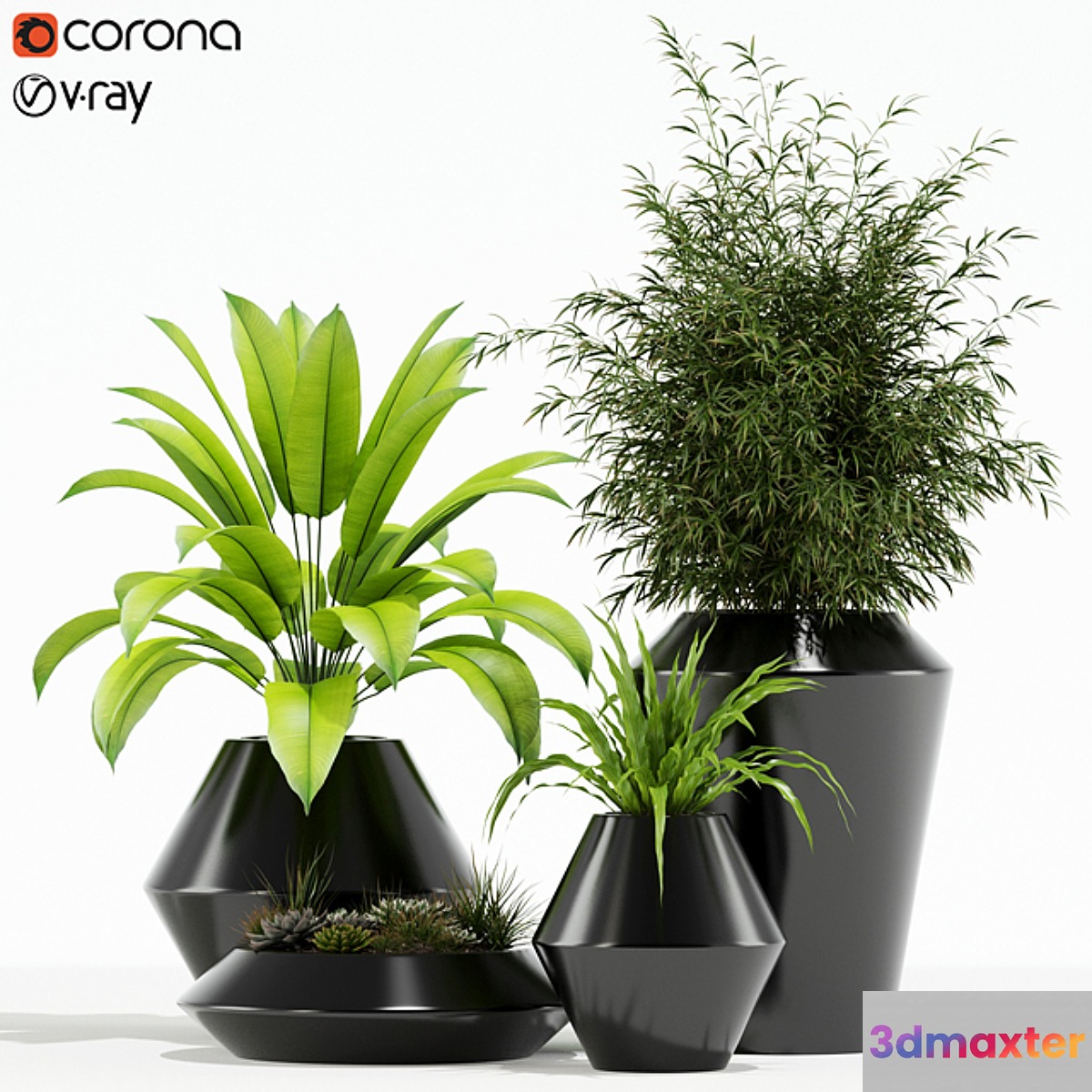 Plants collection 133 Westelm Modern Planters 3D Max