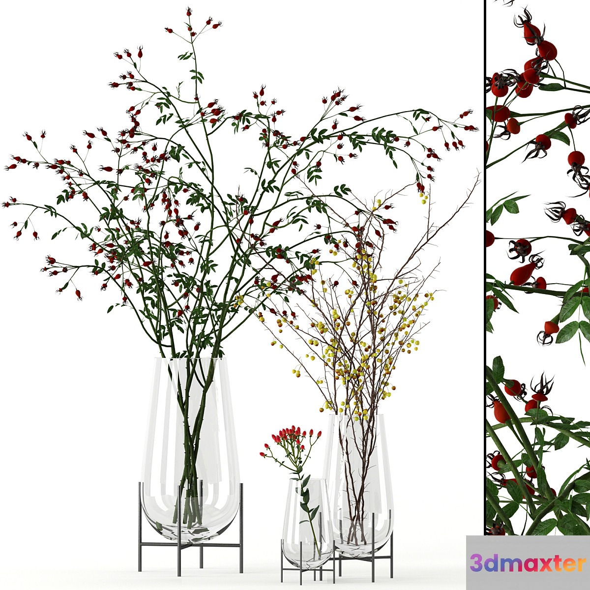 Twigs in Echasse Vases