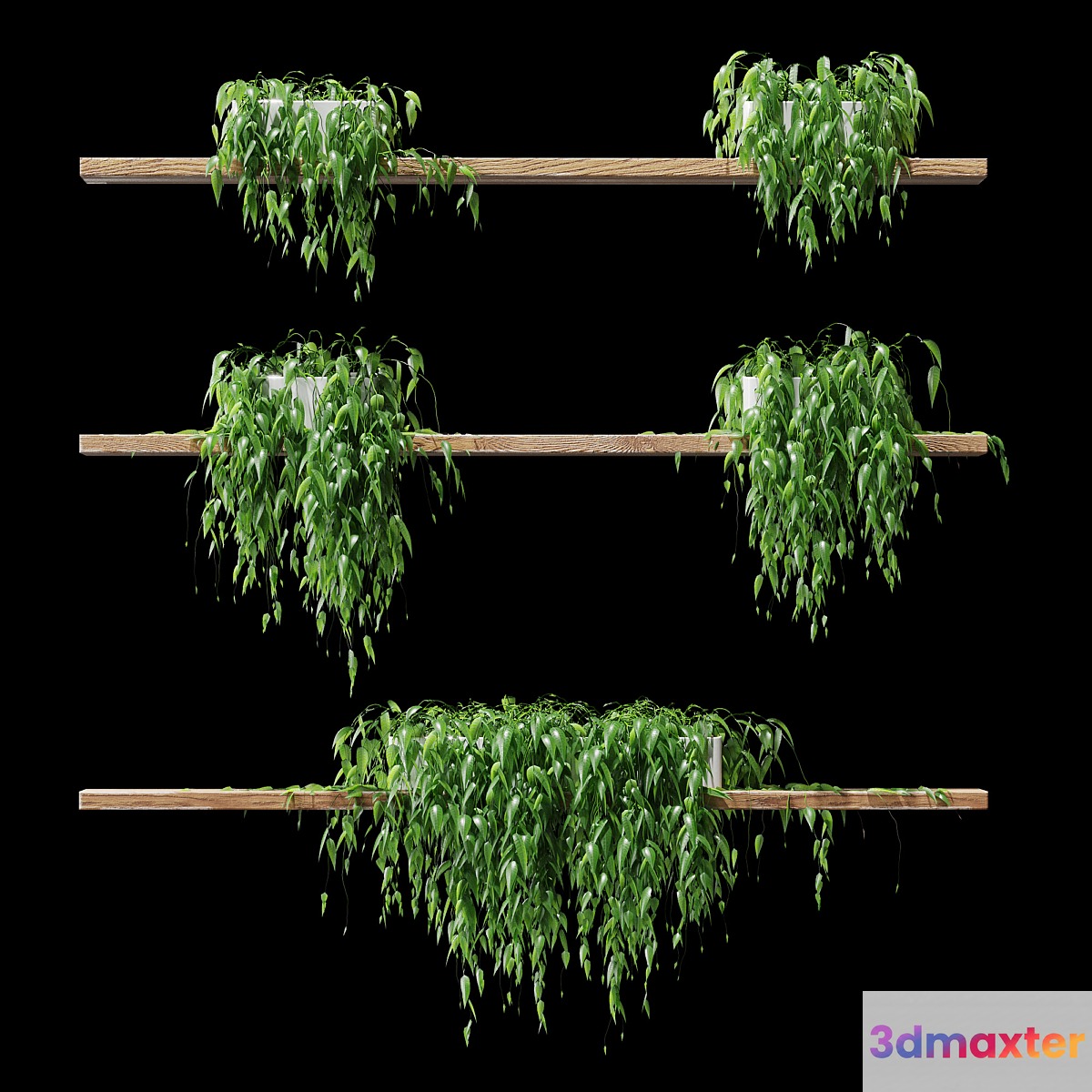 Potted plants on the shelves v2 3D Max