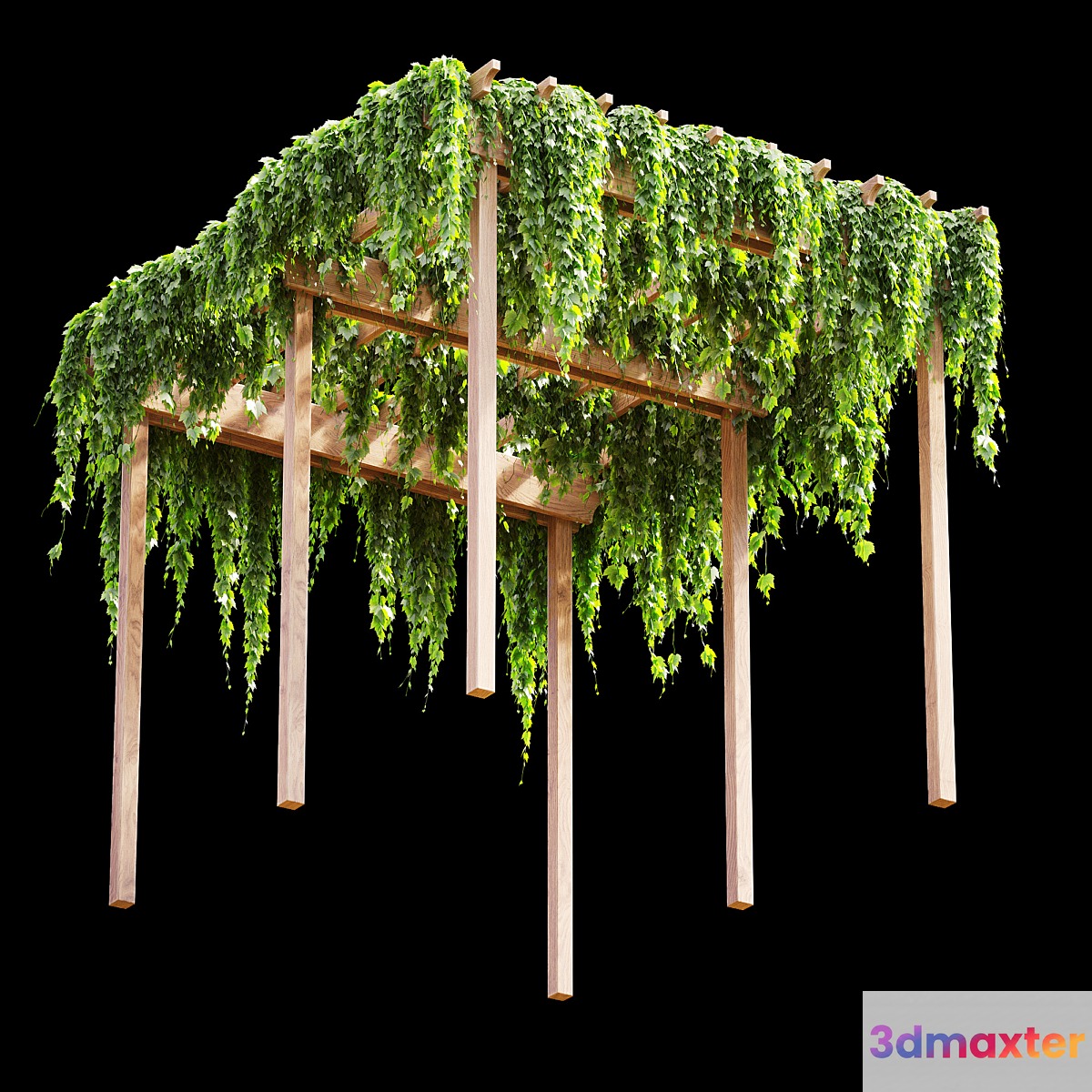 Pergola with grape leaves v2