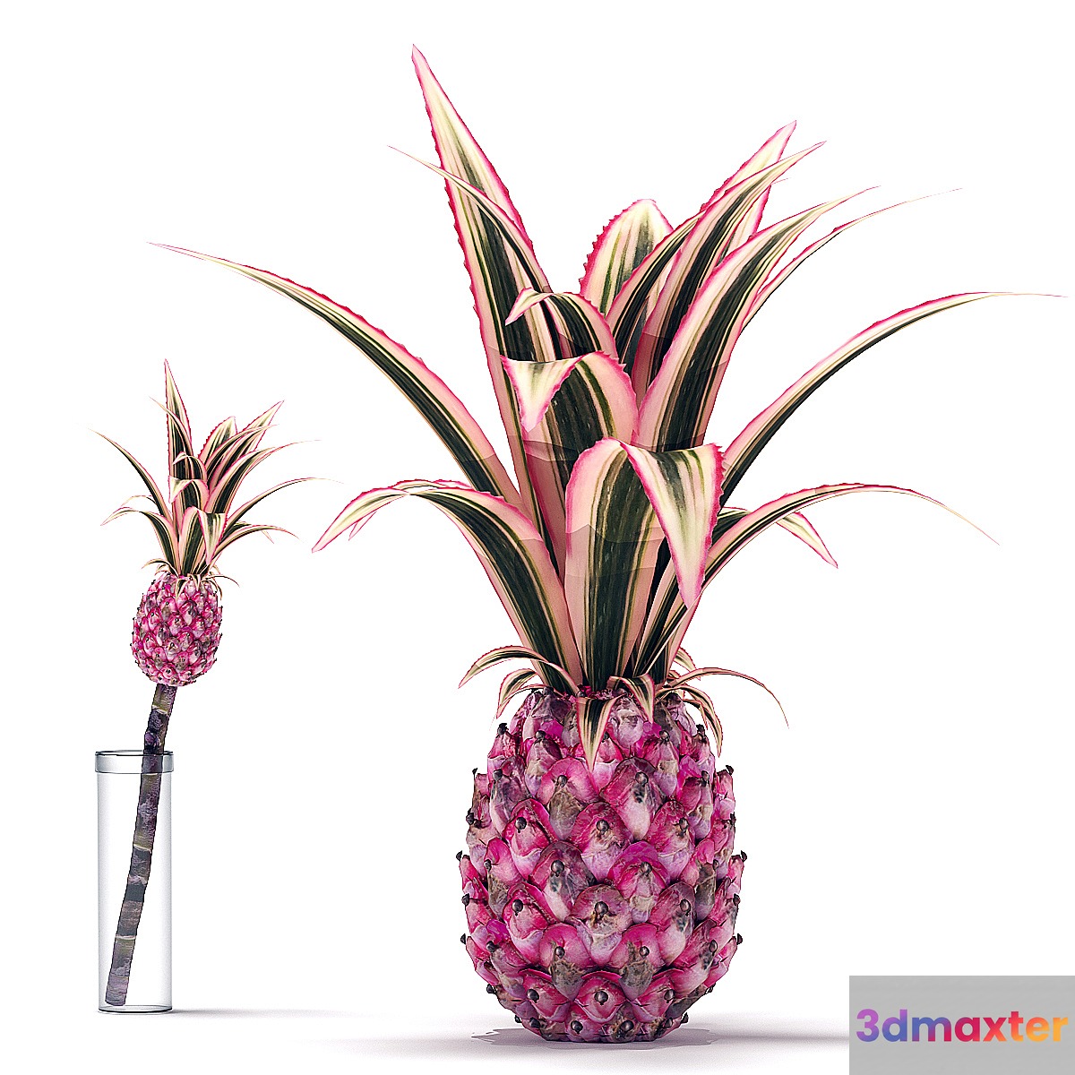 Decorative Pink Pineapple - No.2