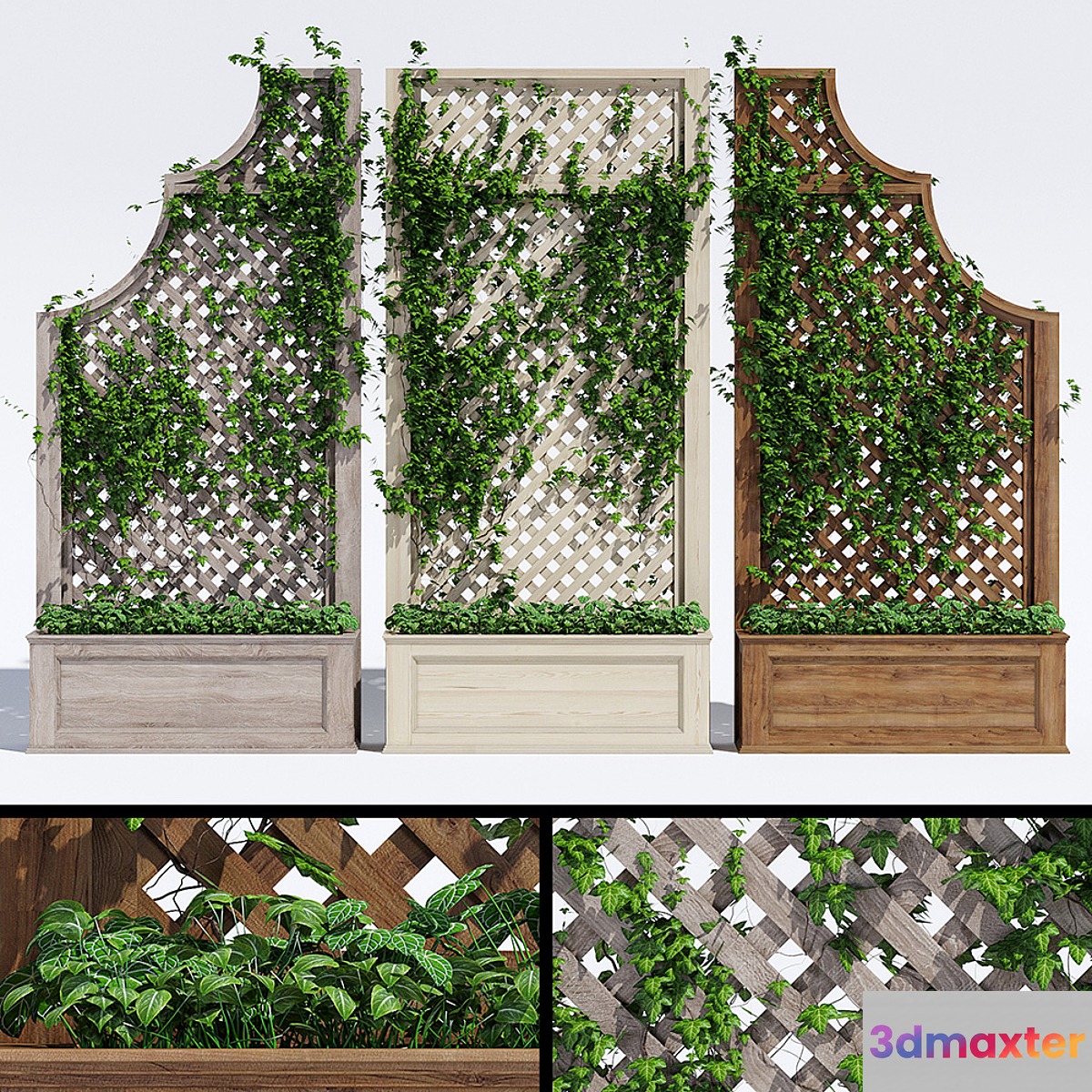 Trellises - No.2