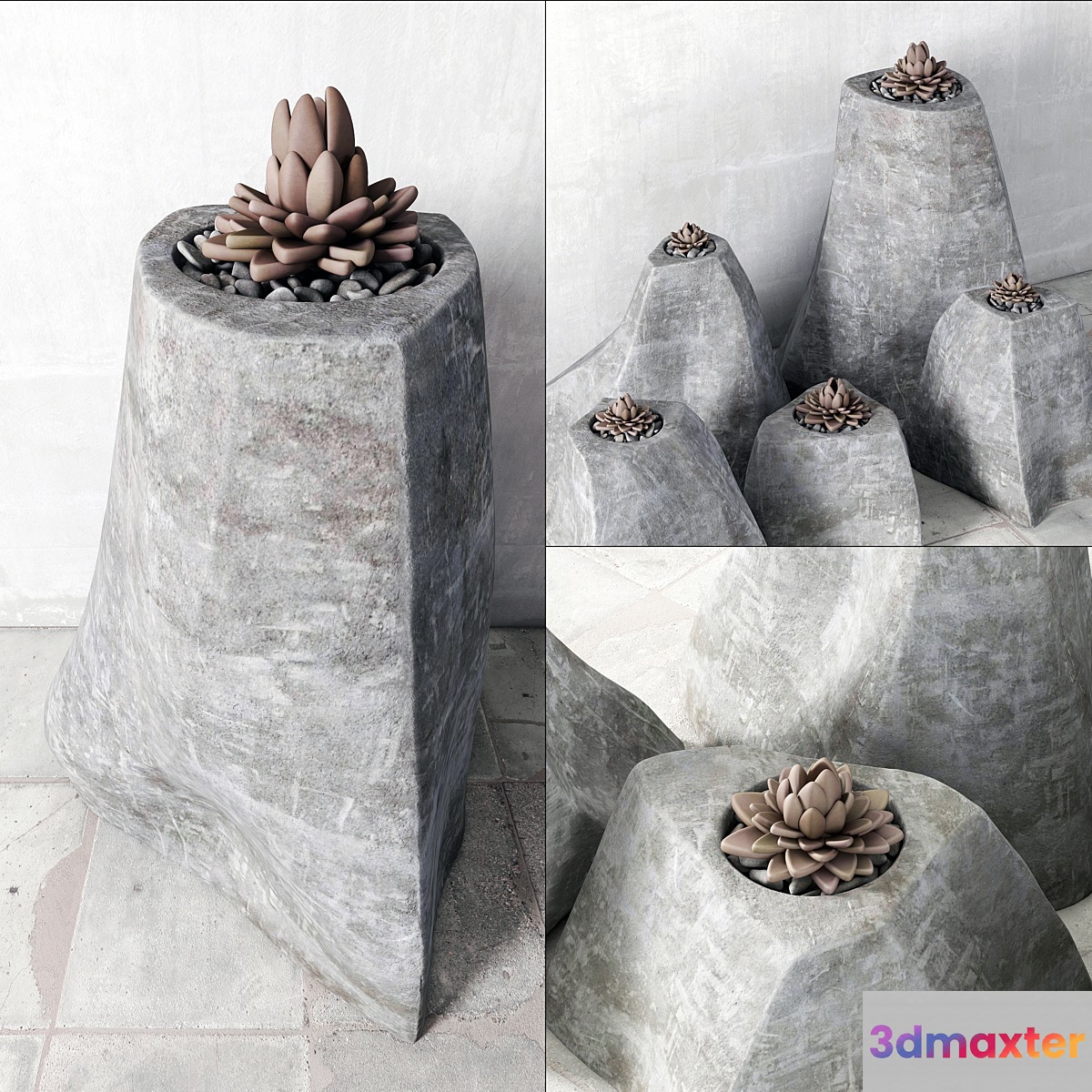 Succulent rock vase 3D Max