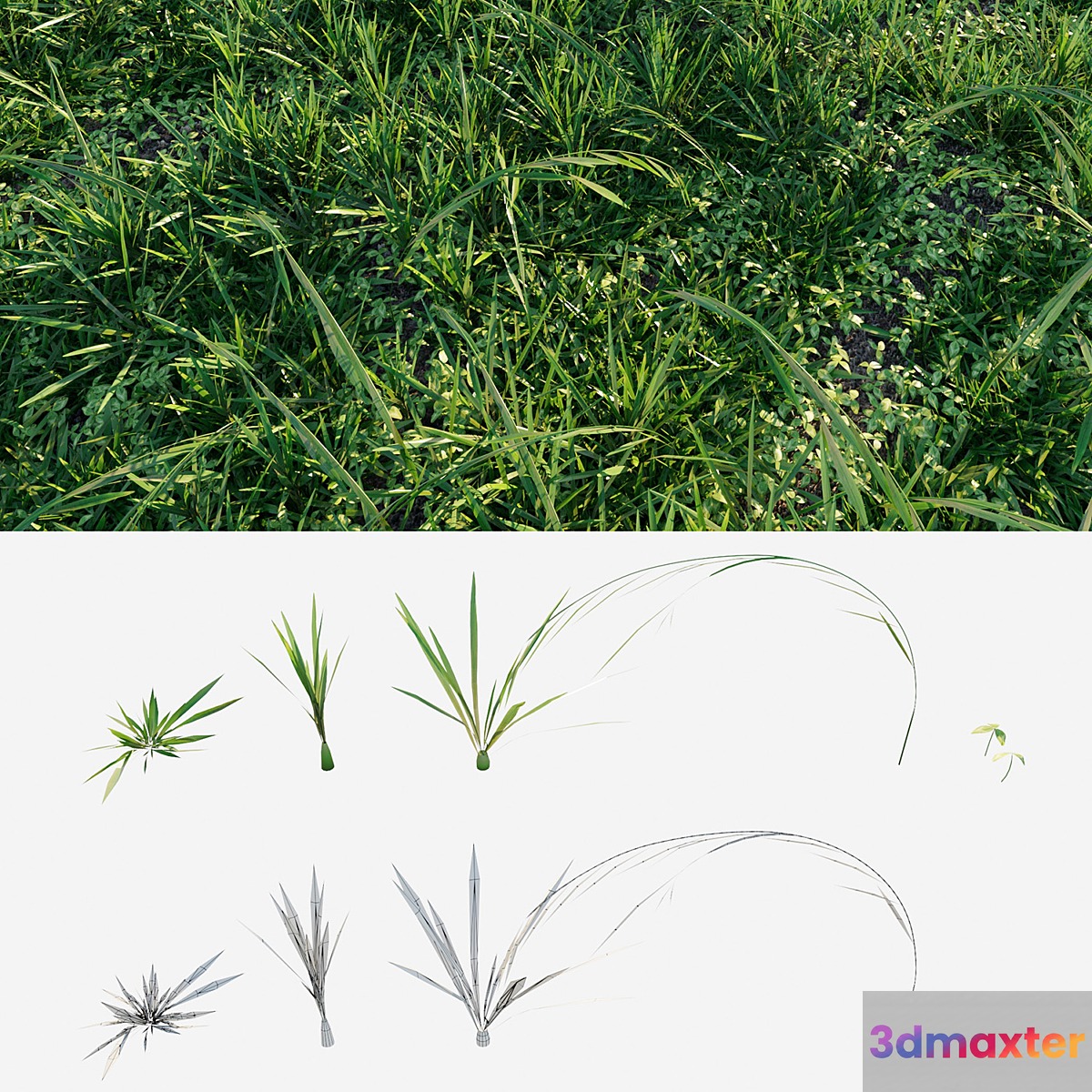 Meadow grass 3D Max