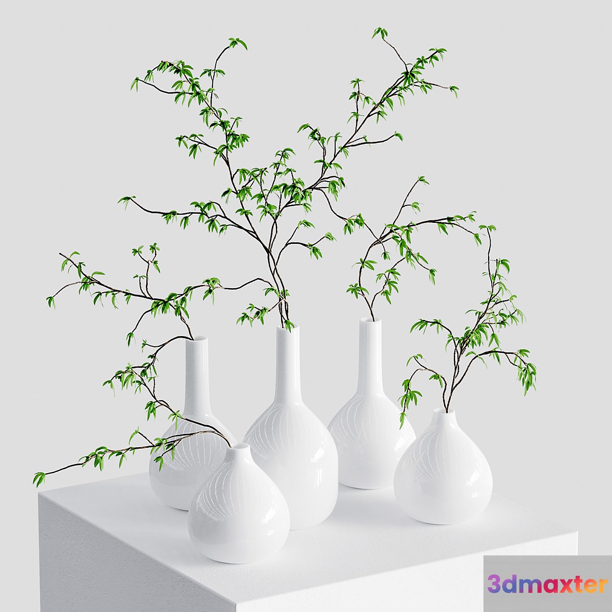 Branches in vases 3D Max