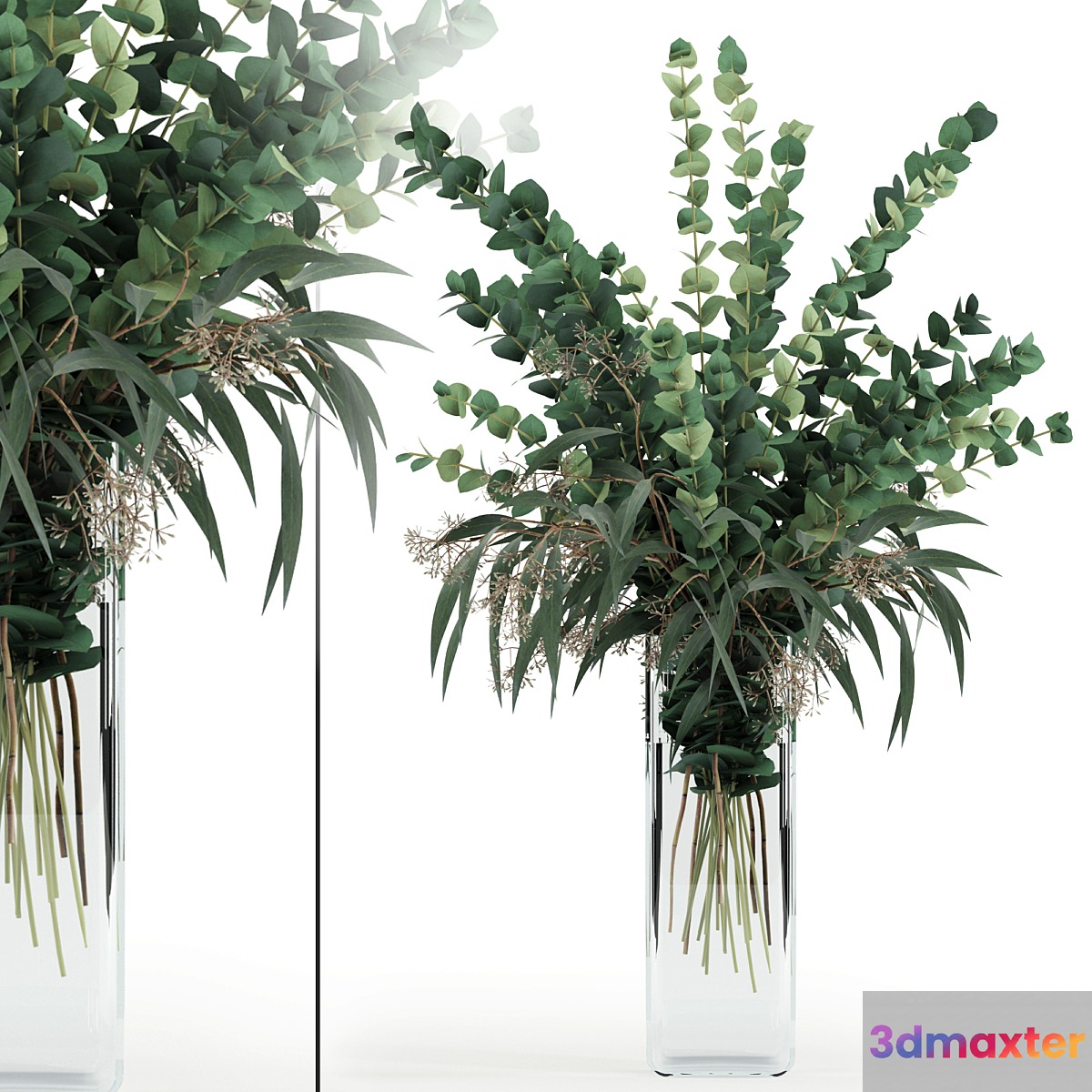 Eucalyptus in tall vase - No.3
