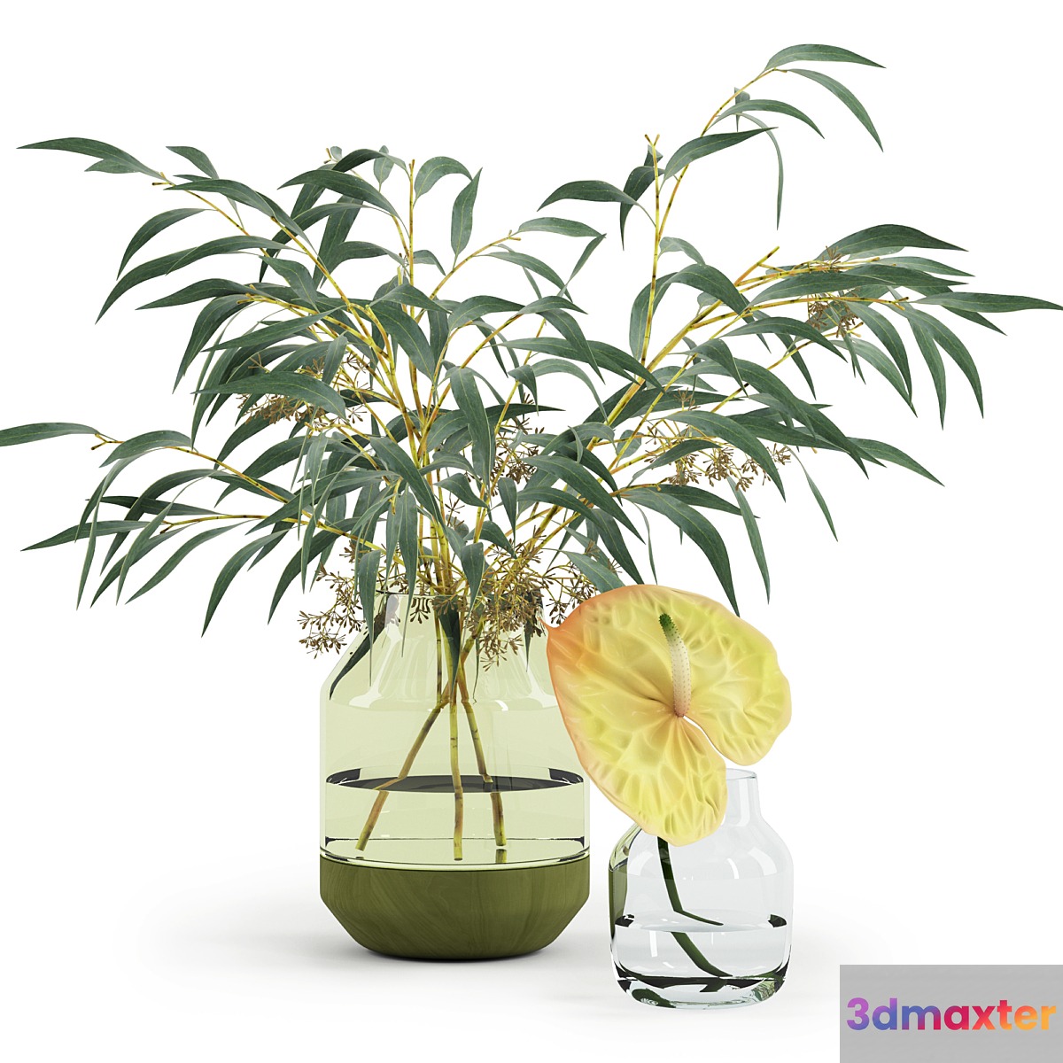 Eucalyptus & Anthurium in Muuto's vases - No.2