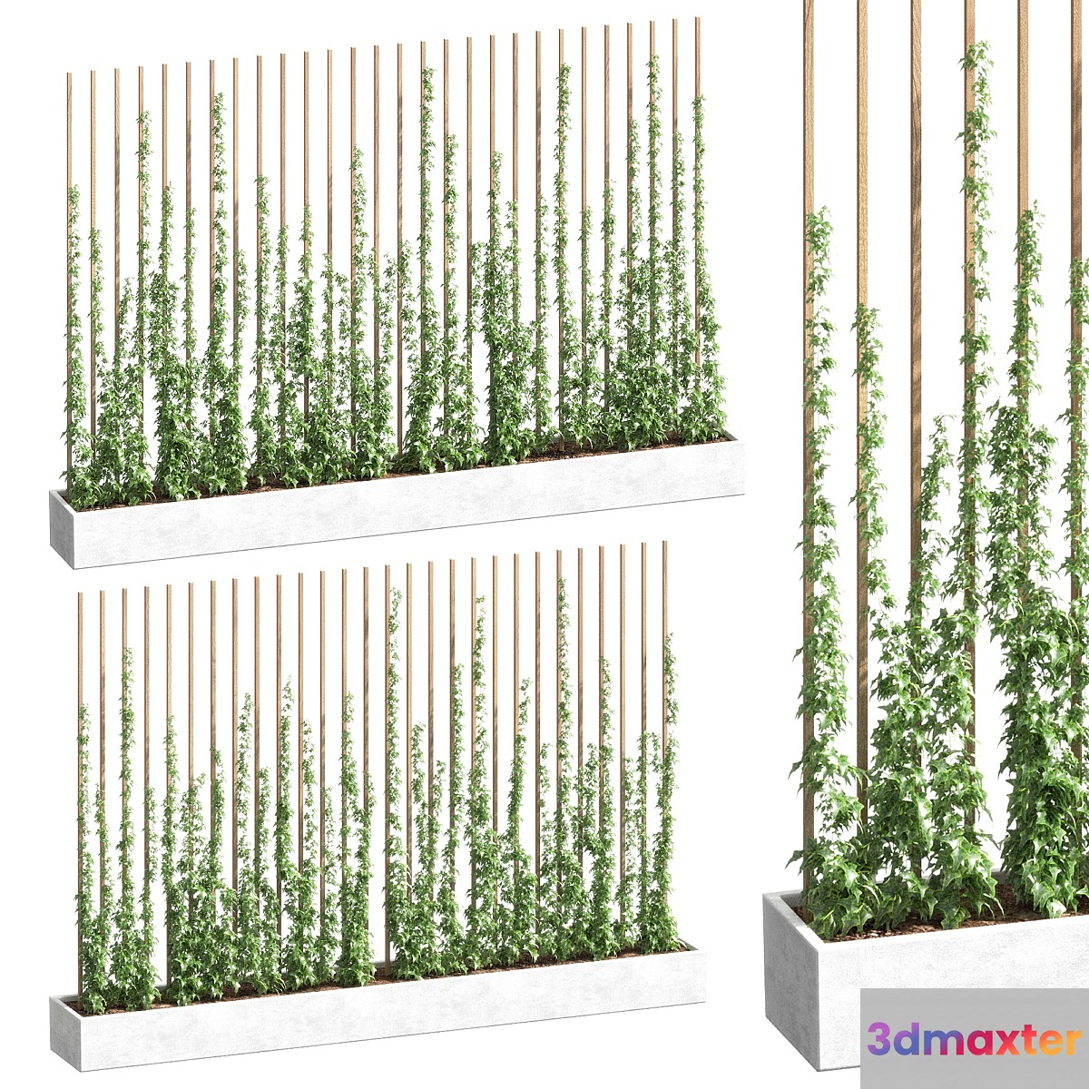 Ivy partition
