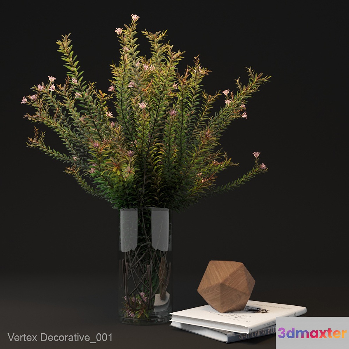 Vertex Decorative_001