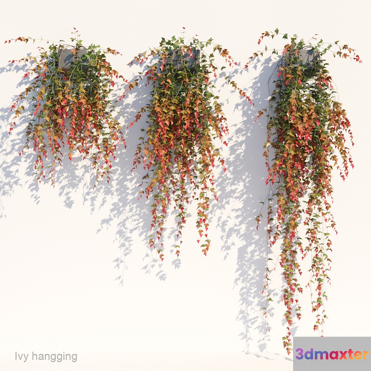 Ivy in pot hanging V1 3D Max