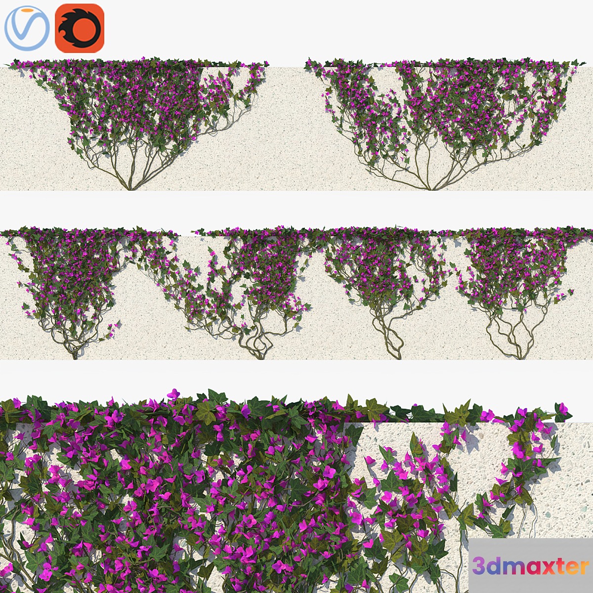 Ivy with Flowers 01 3D Max