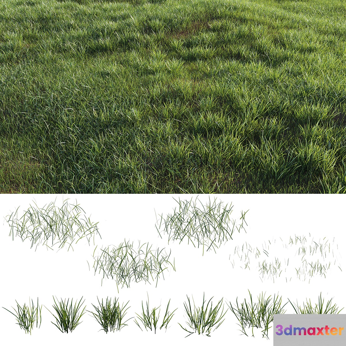 Grass-plot