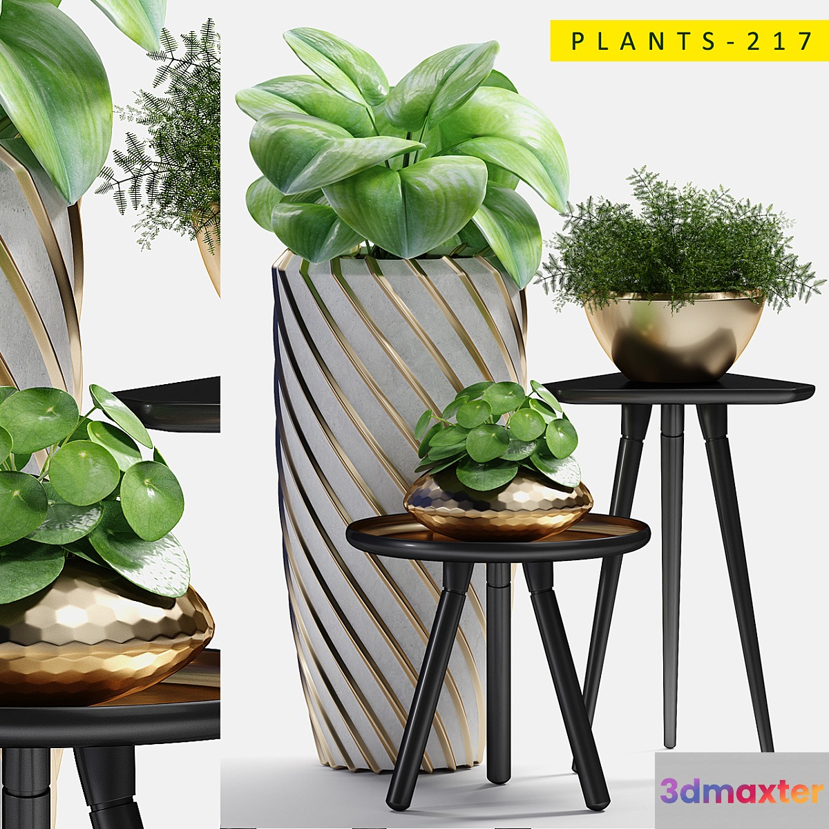 plants 217 3D Max