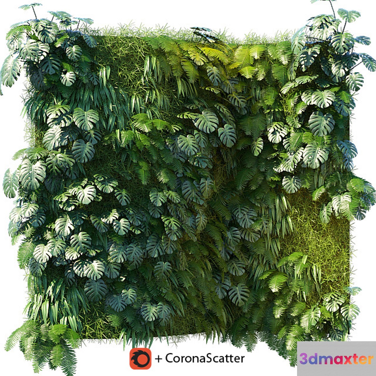 Phytowall 1 - No.4