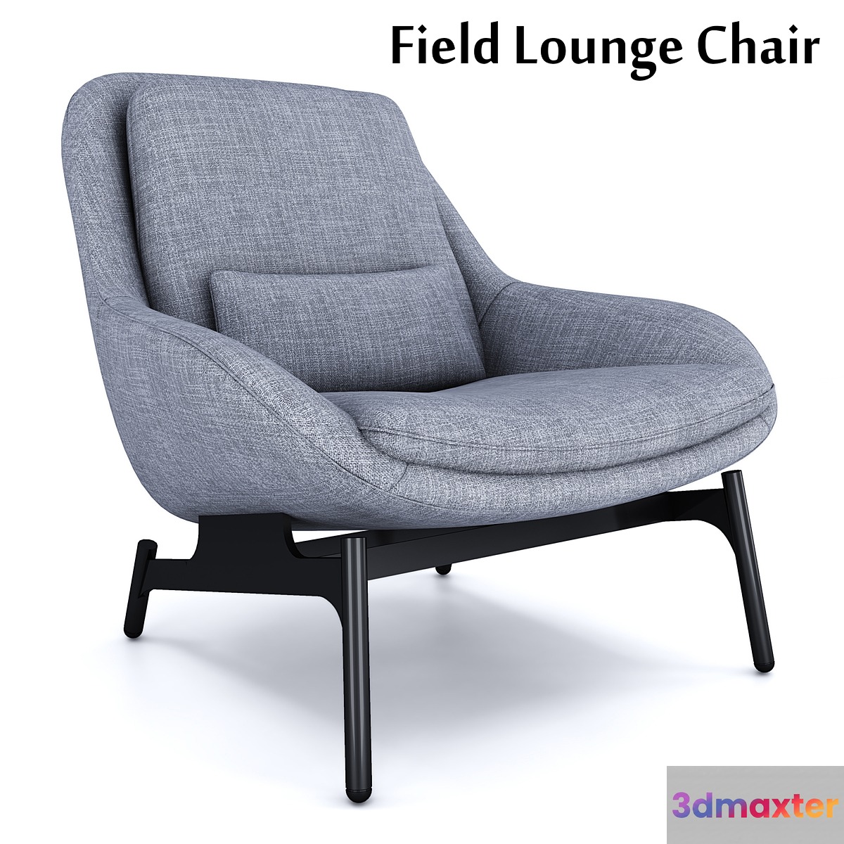 Field Lounge Chair 3D Max