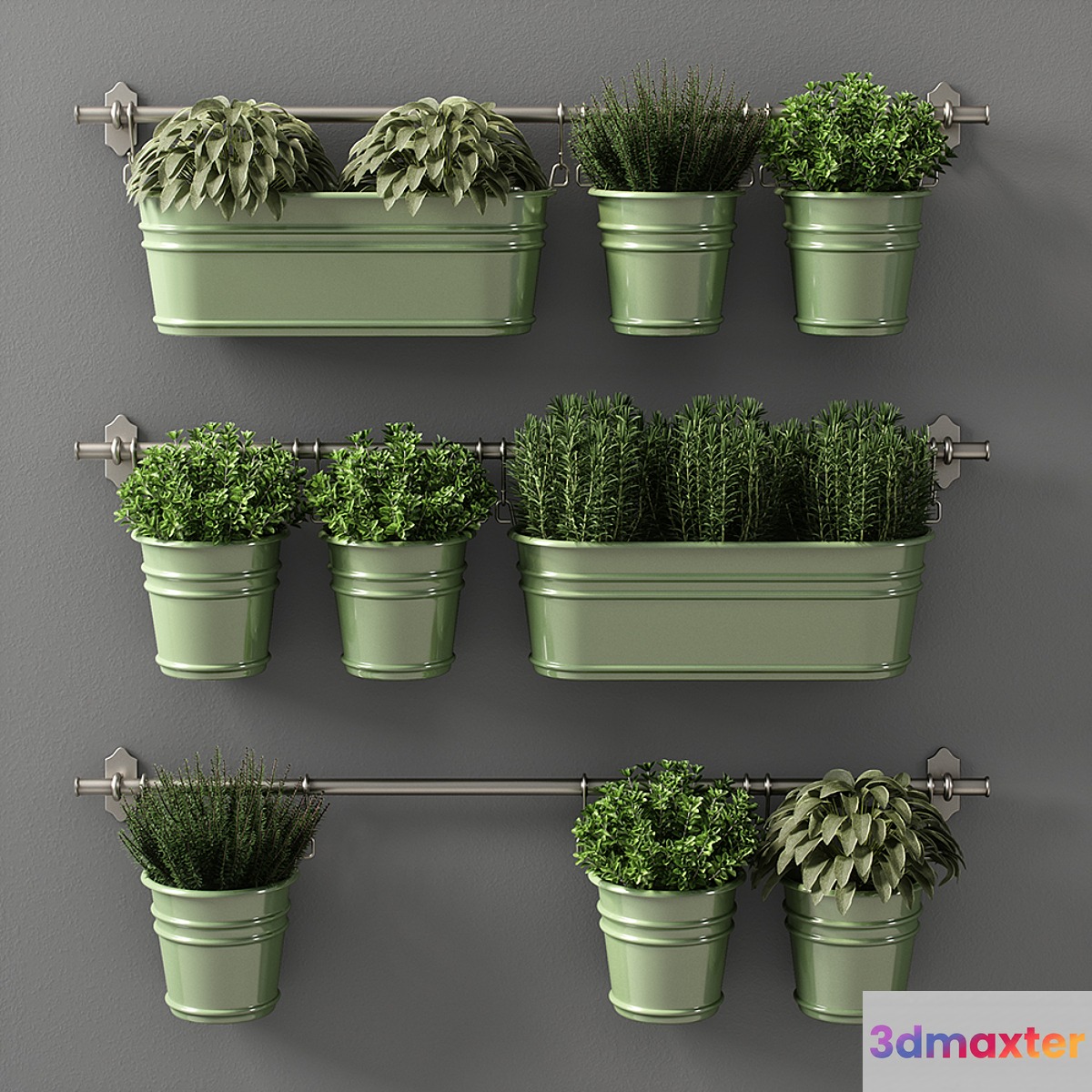 plants set 08