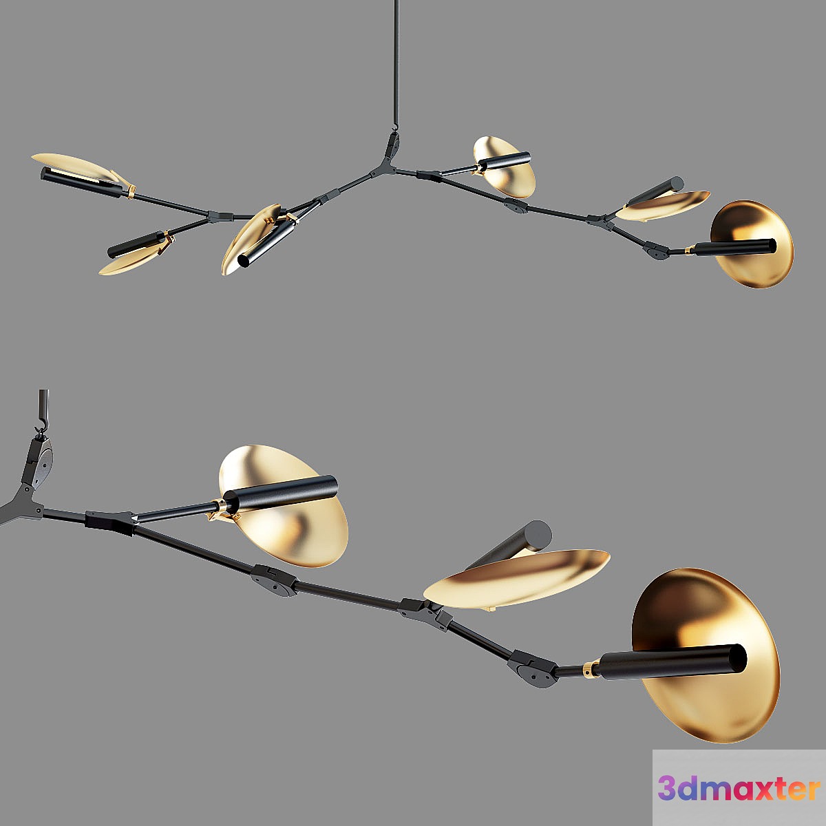 Branching Disc 3D Max