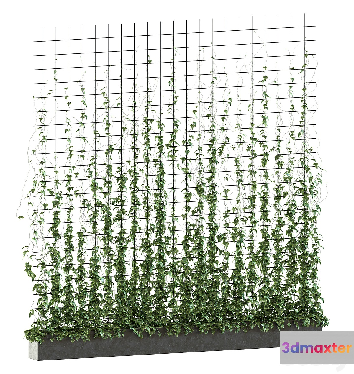 Ivy on the grid v2 3D Max