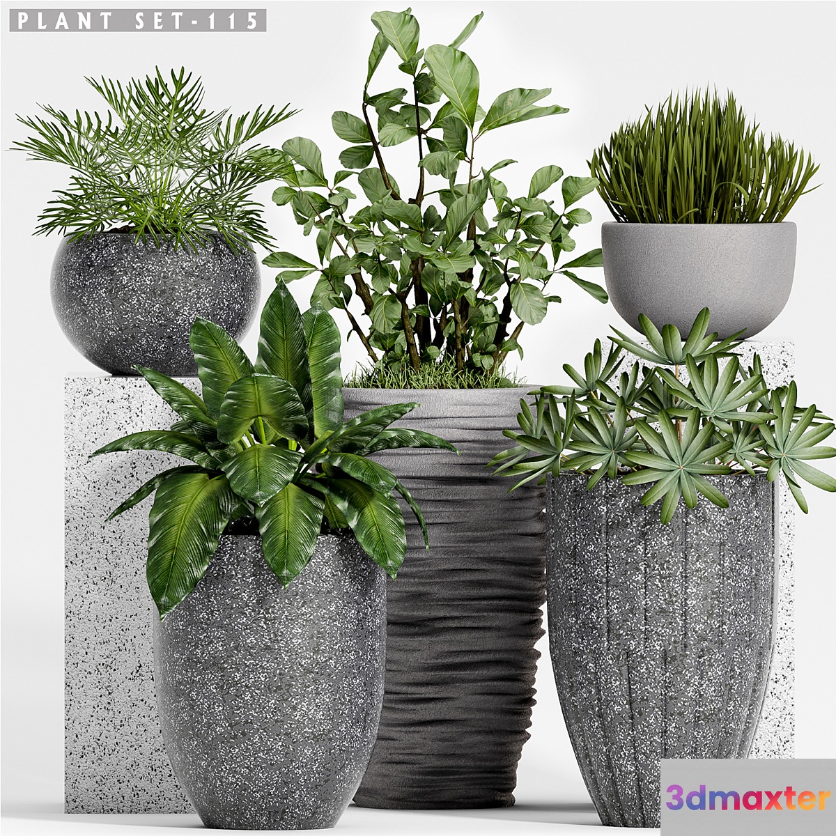 Plant set-115 3D Max