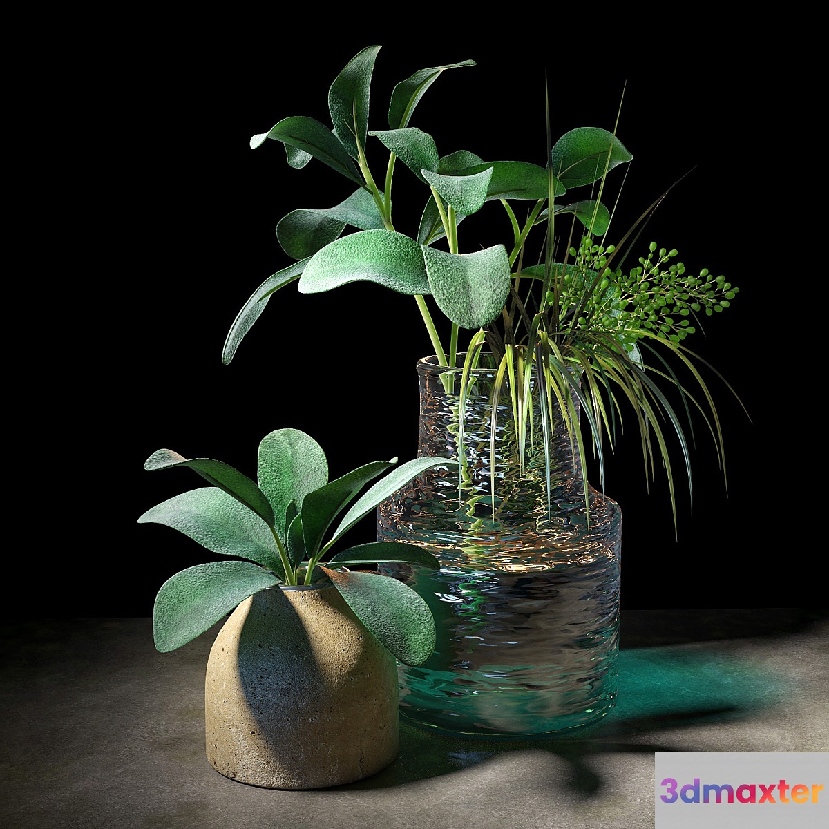 Plant set 04 3D Max