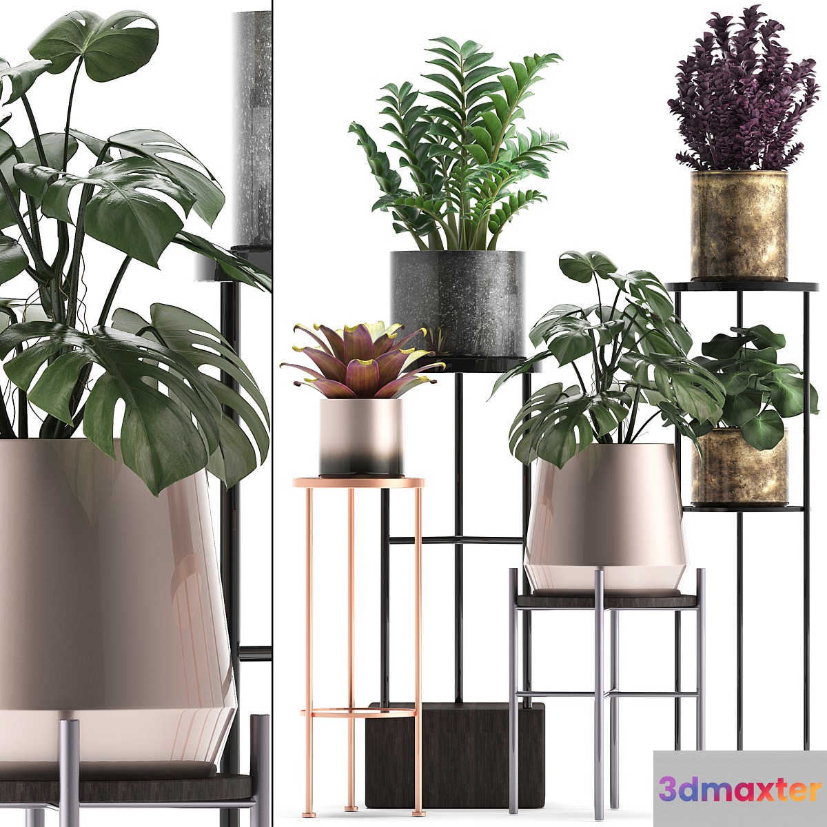 Plant collection 286. Flower shelf pot monstera bromeliad Zamioculcas luxury small plants stand - No.4