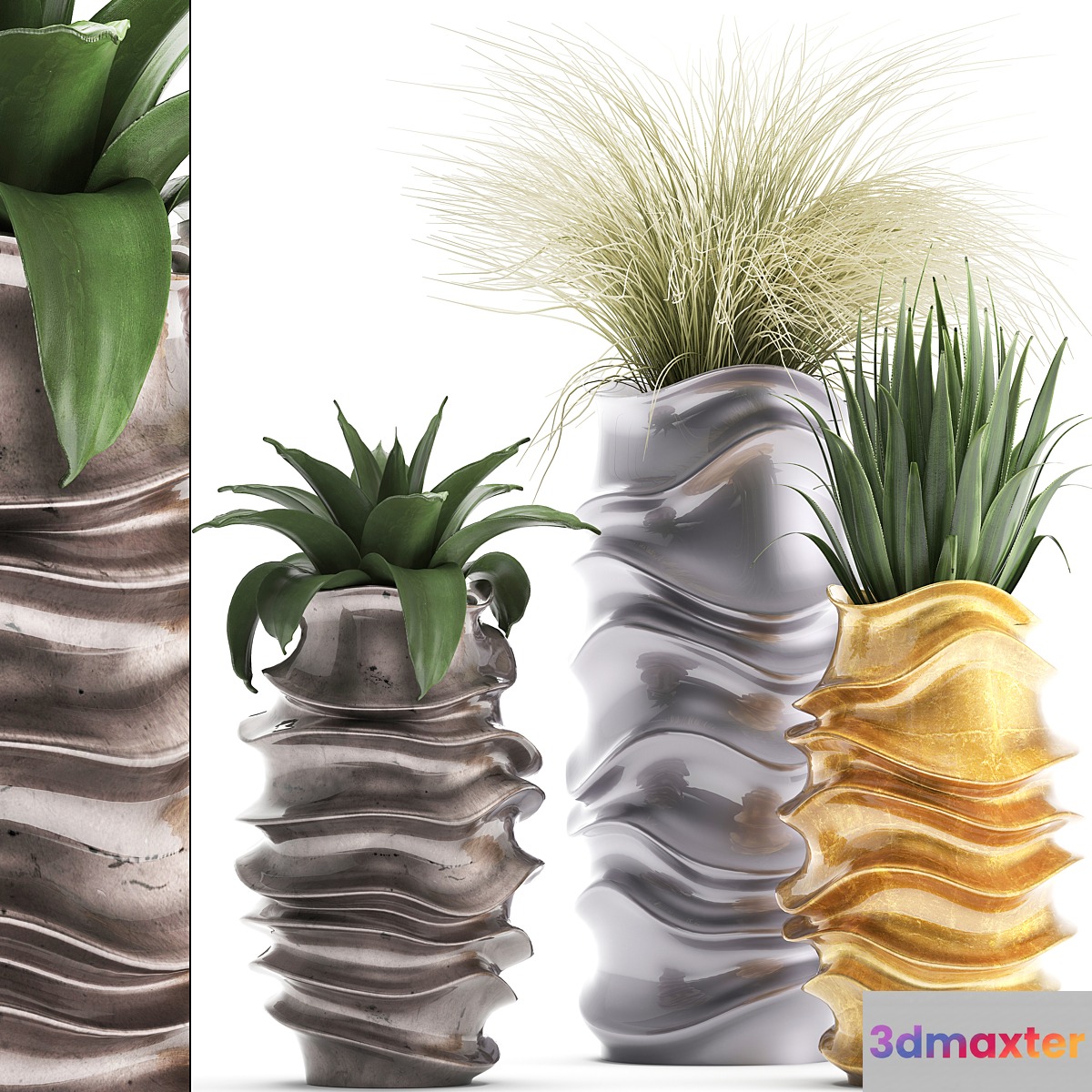 Plant collection 289. luxury flowerpot pot grass agave interior plants luxury decor 3D Max