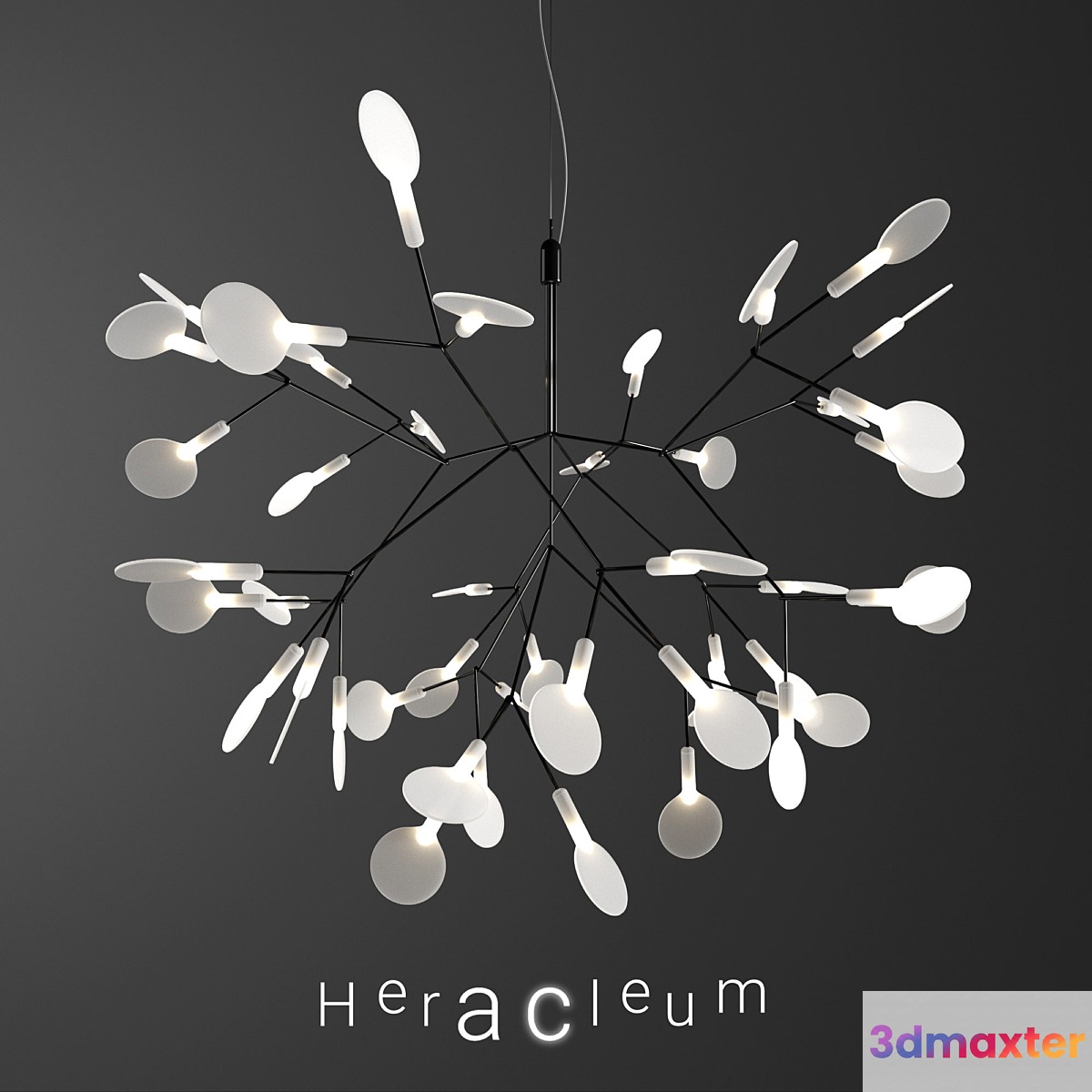 Chandelier Moooi Heracleum II Small BLACK 3D Max