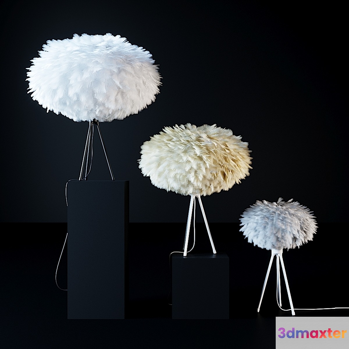 Plumage 31 3D Max