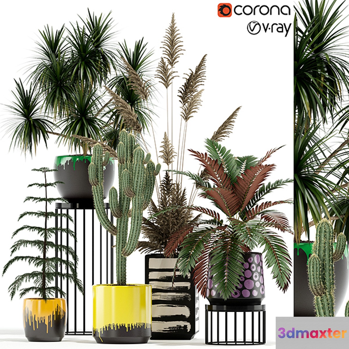 Plants collection 139 3D Max