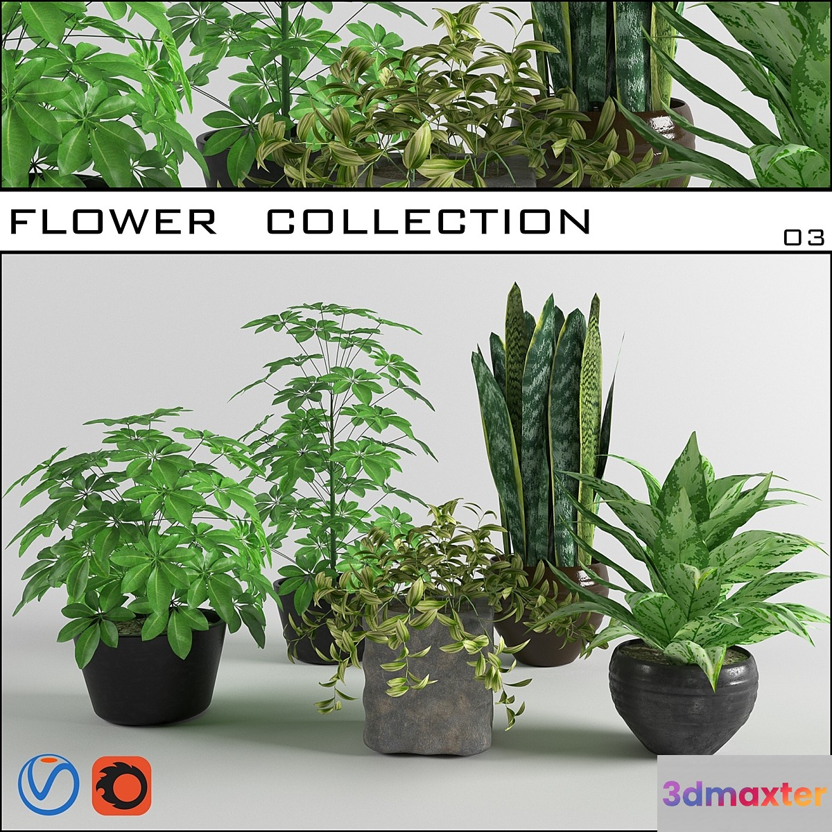 flower collection 03
