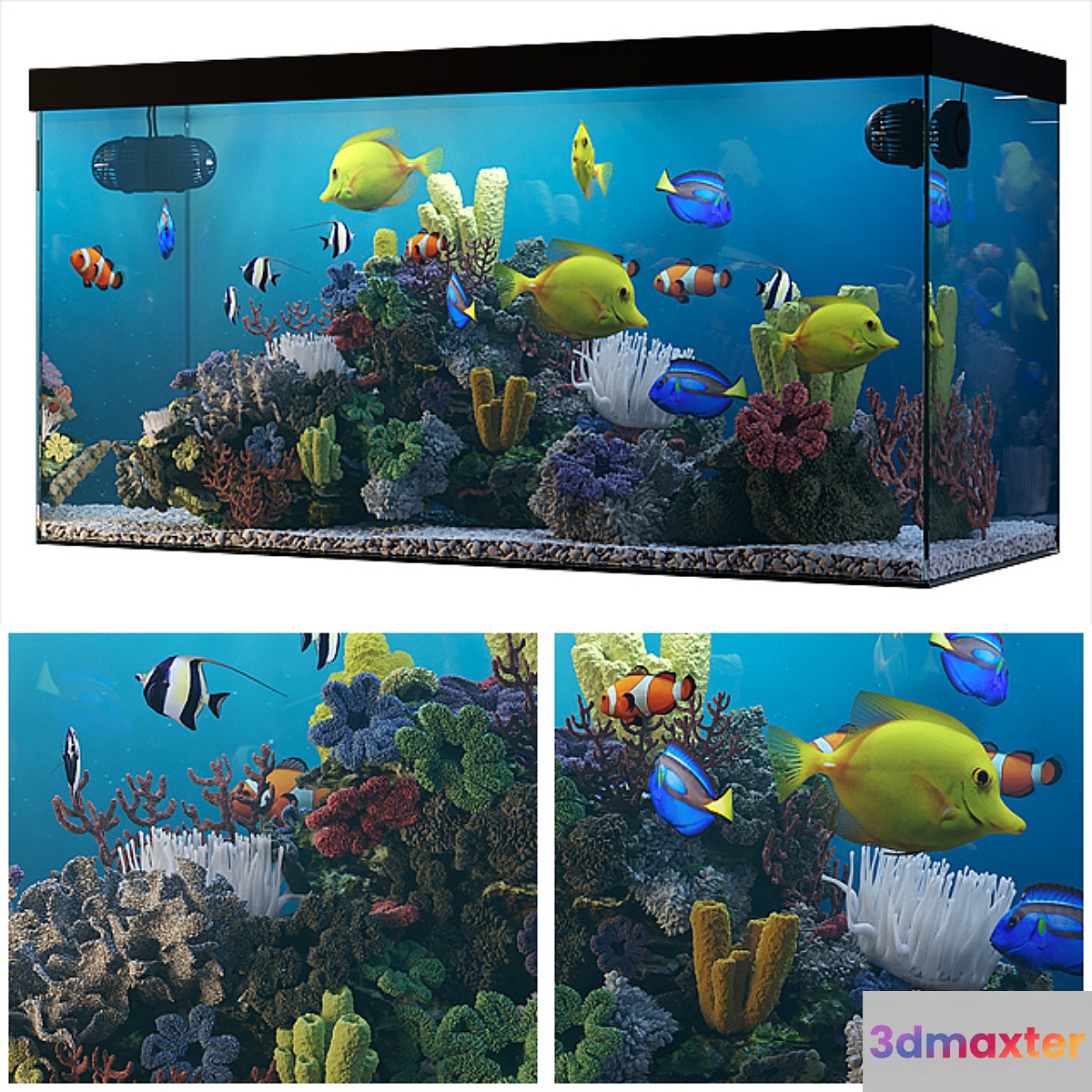 Seawater aquarium - No.8