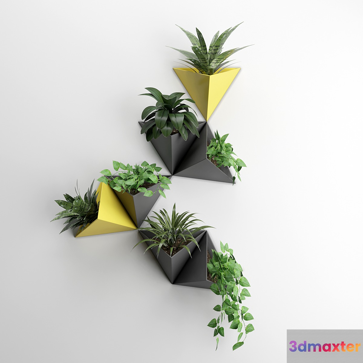 Wall plant 2 3D Max