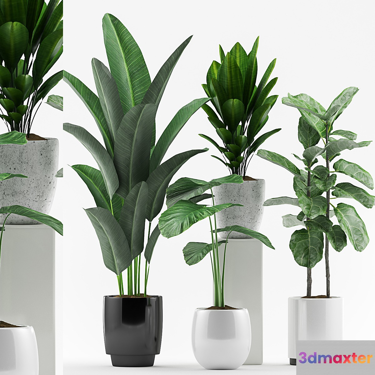 Plants 127 3D Max
