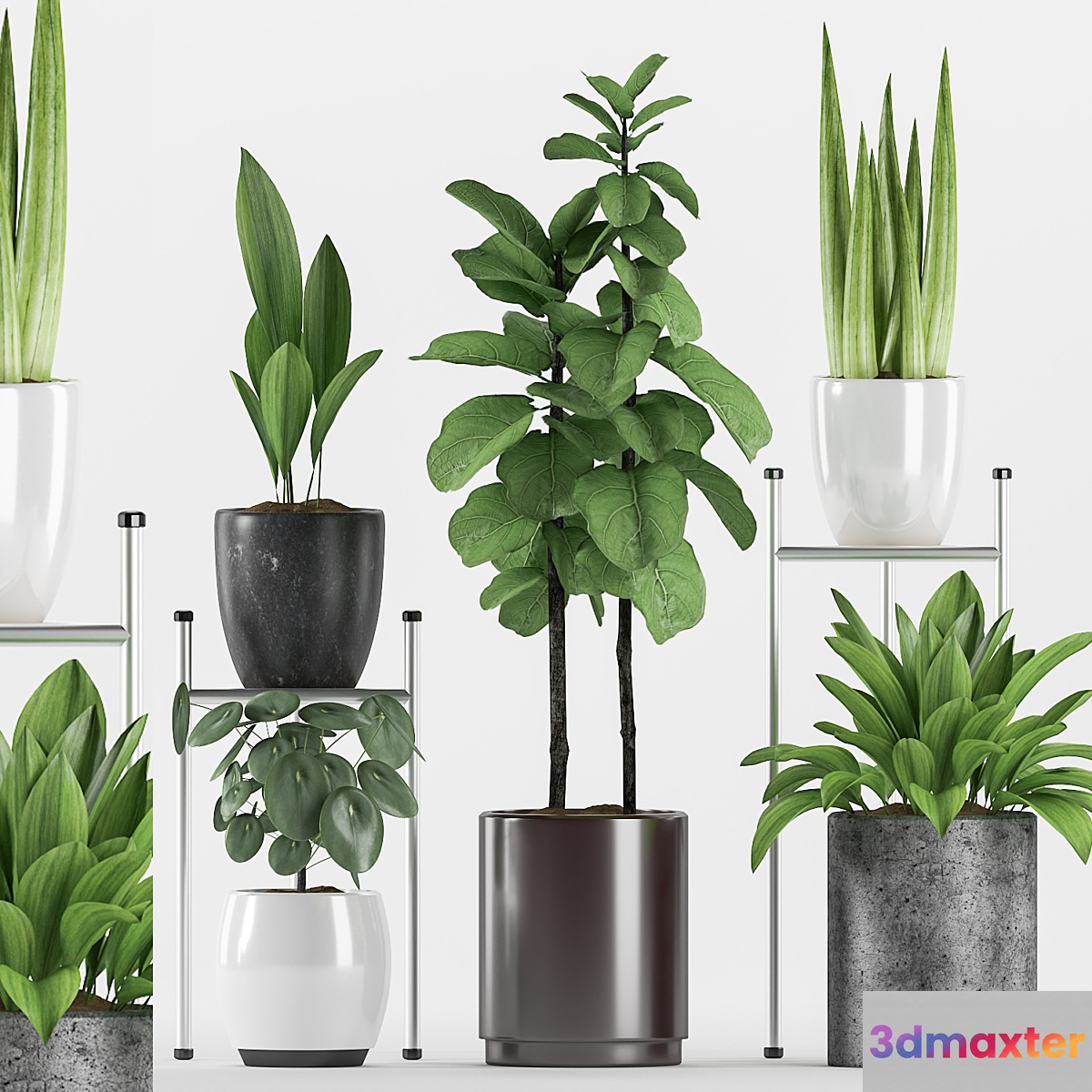 Plants 131