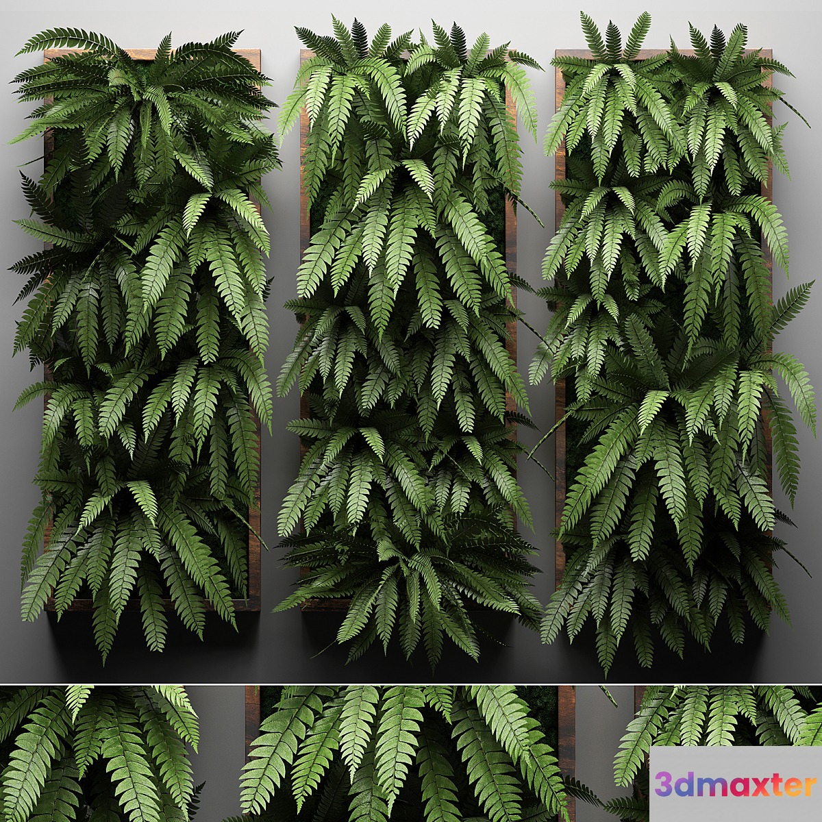Vertical garden 30. fern picture vertical garden phytowall wall decor phytomodule eco design natural materials 3D Max