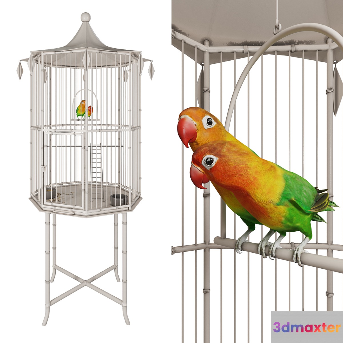 Cage with lovebirds 3D Max