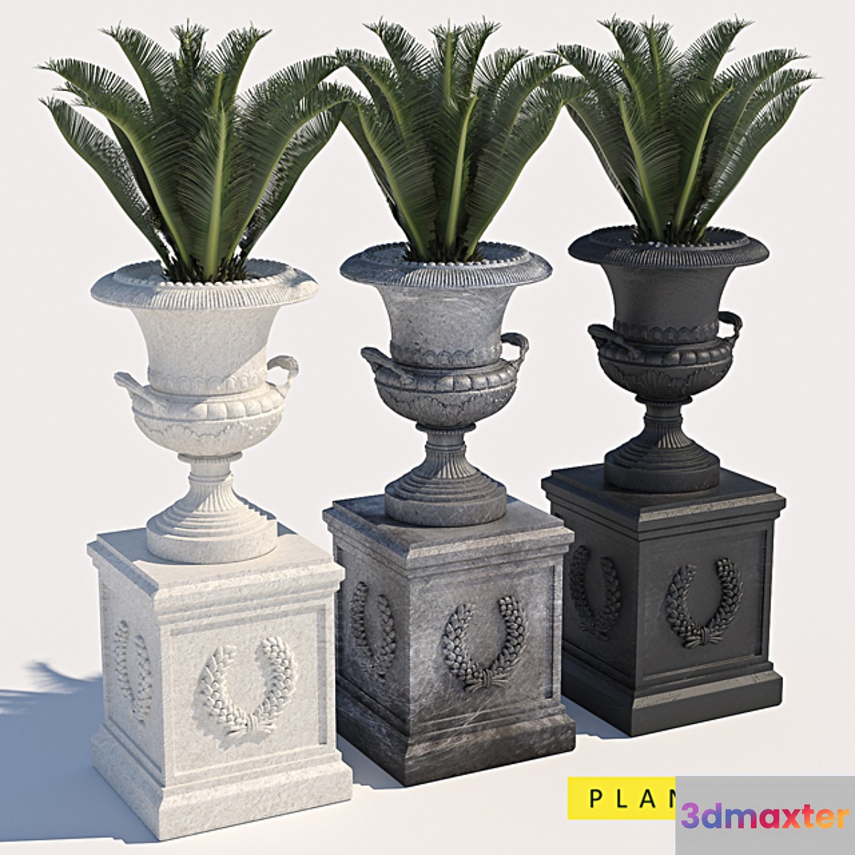 plants 223