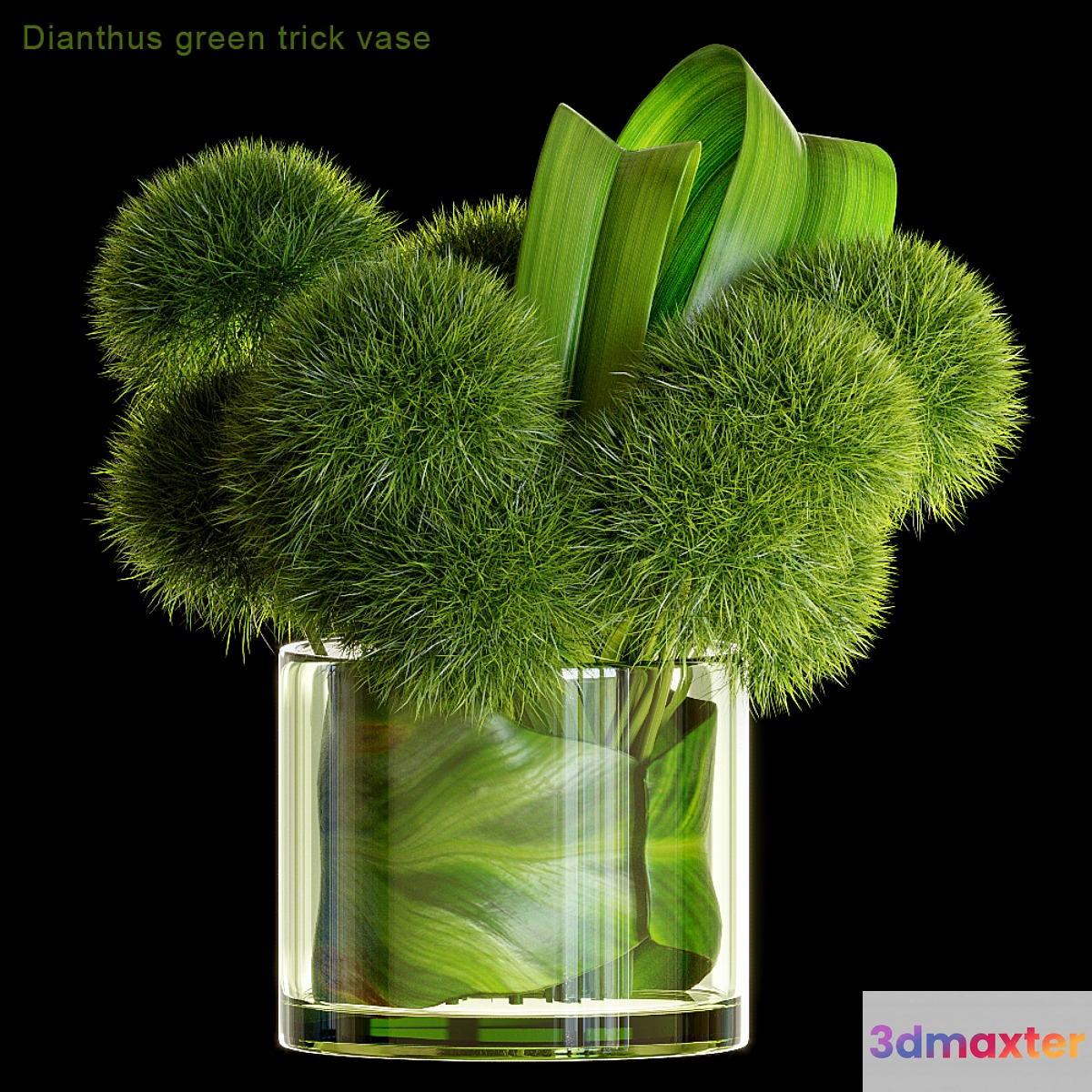 Dianthus green trick vase - No.2