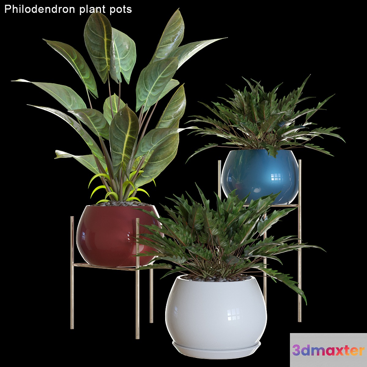 Philodendron plant pots # 2 - No.3