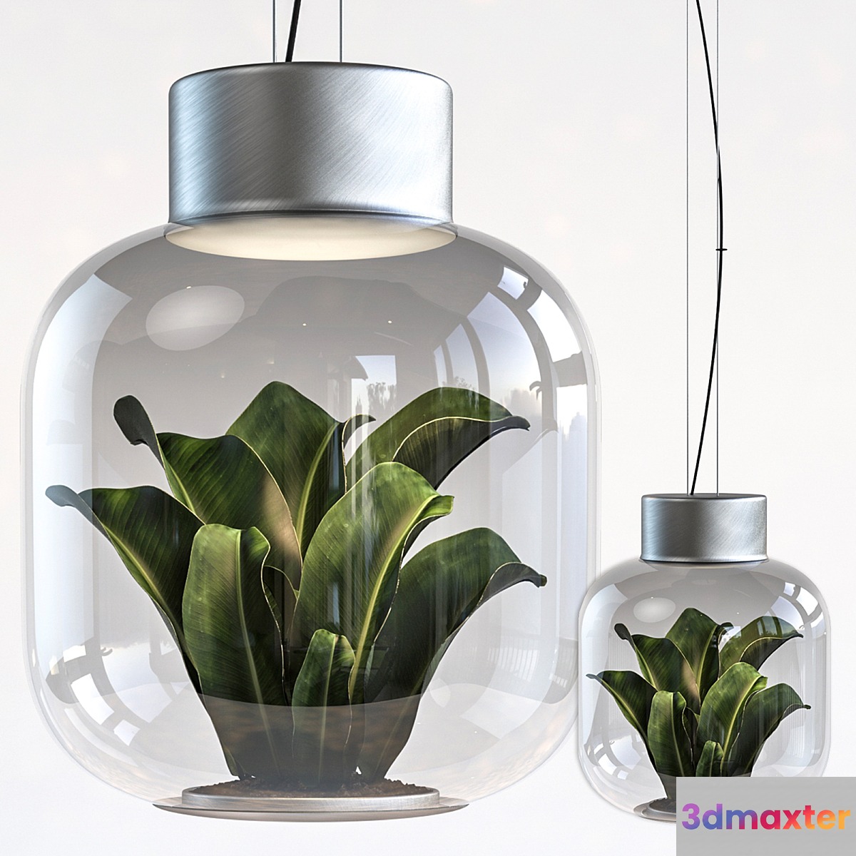 Plant light