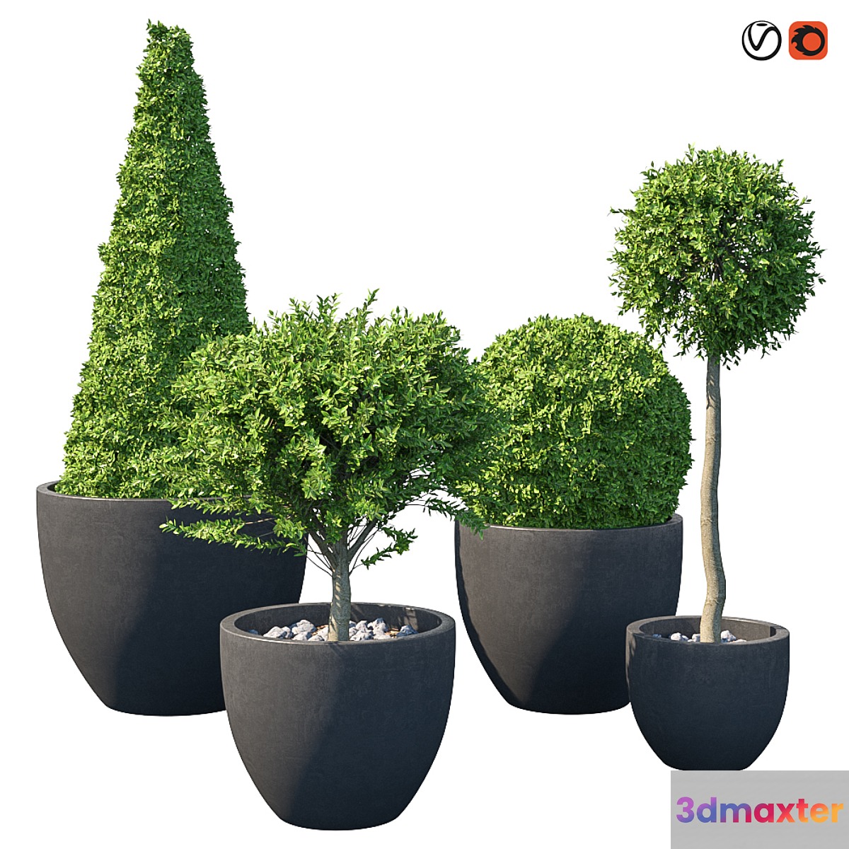 Street bushes in pots IV 3D Max