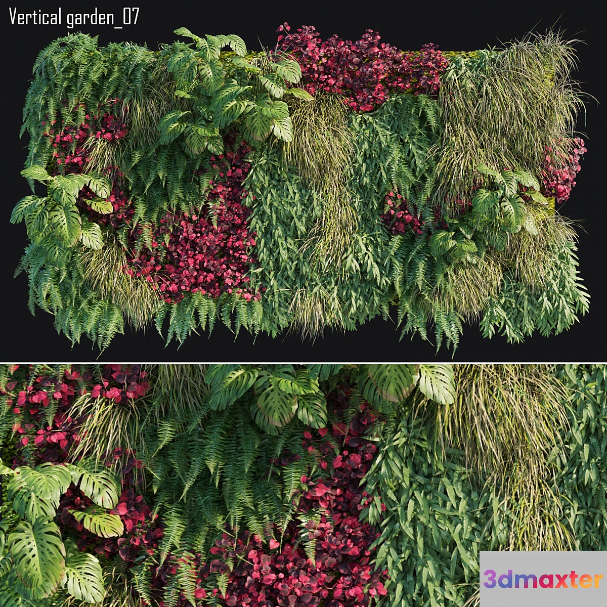 Vertical garden 07 3D Max