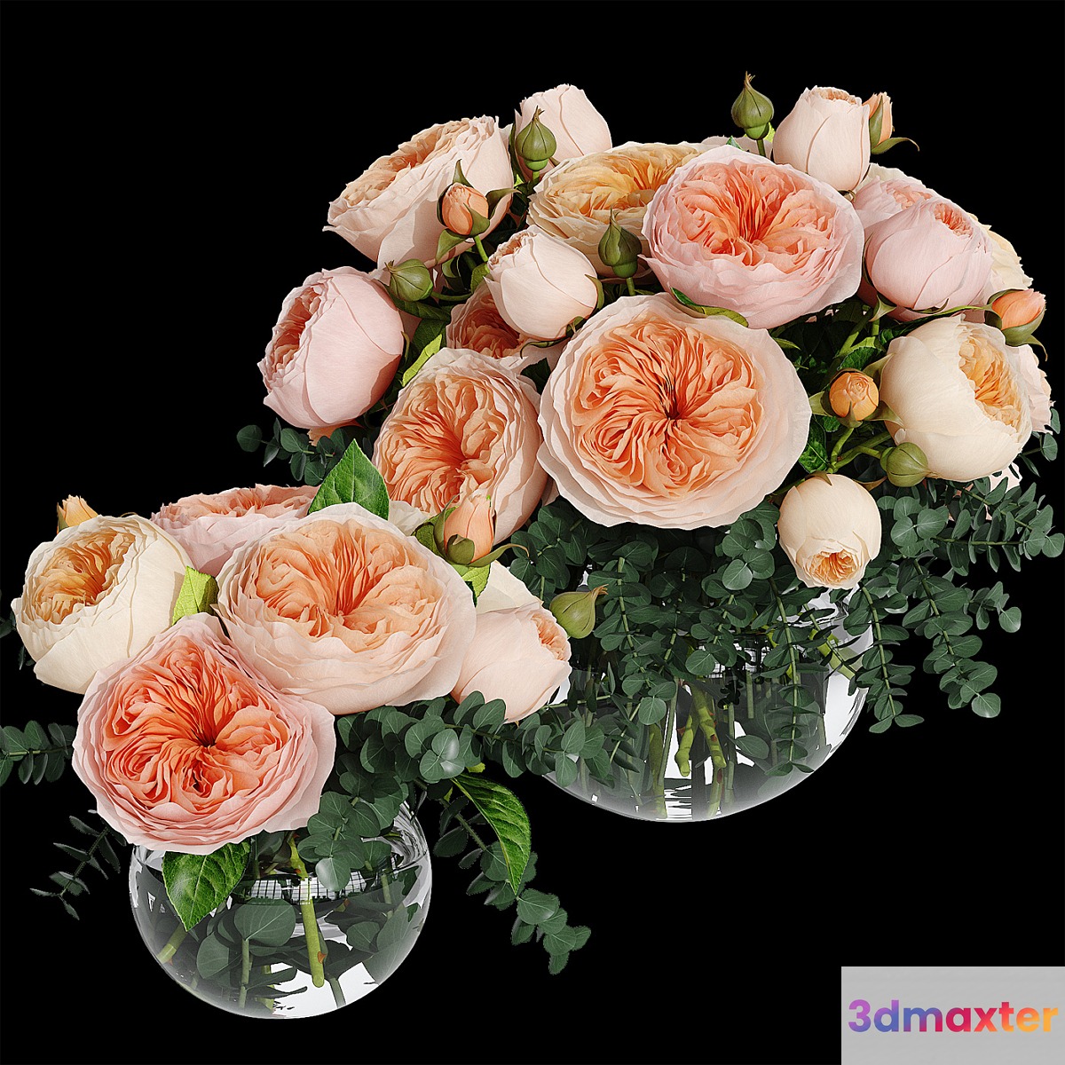 Rosa Juliet - No.3