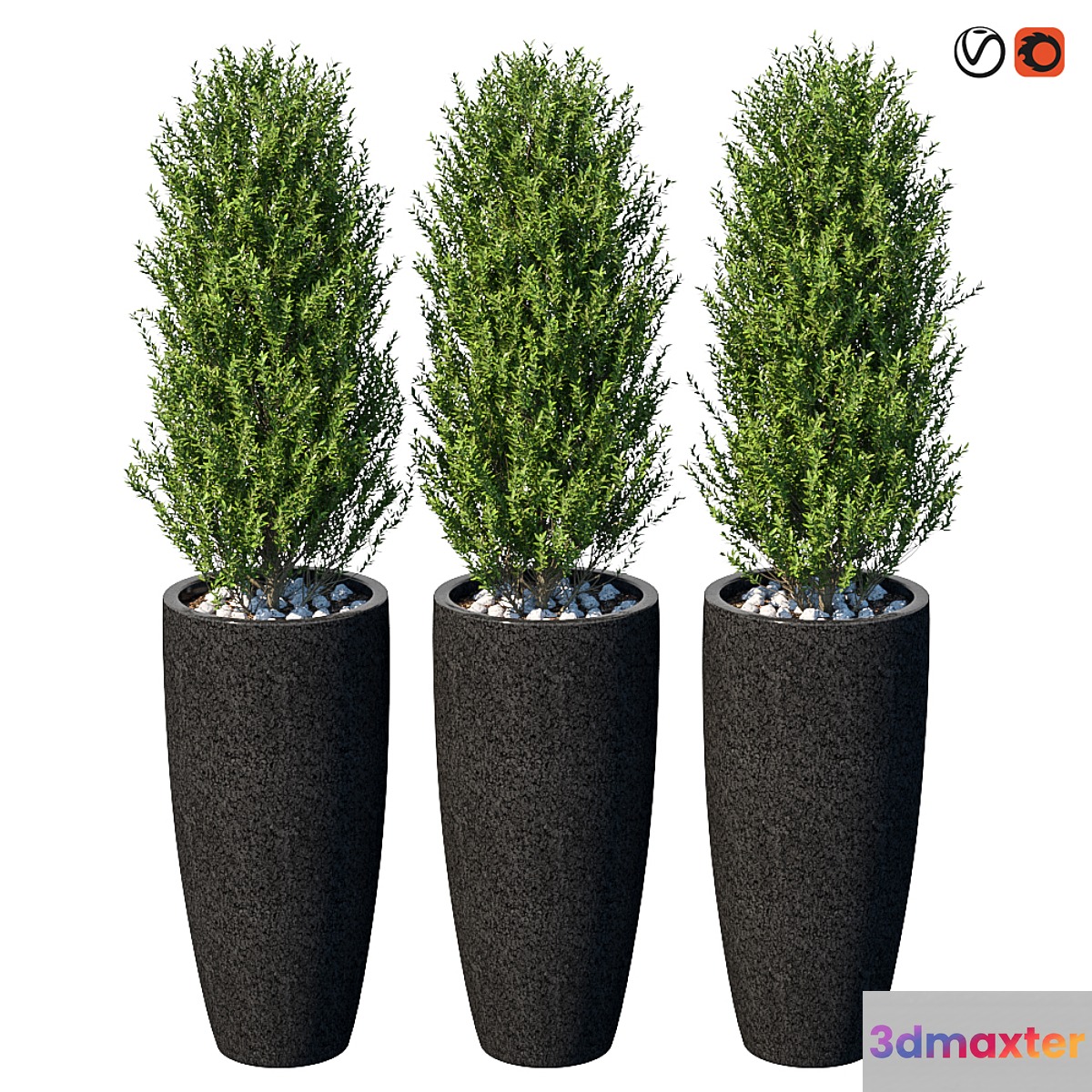 Street bushes in pots VI - No.2 3D Max