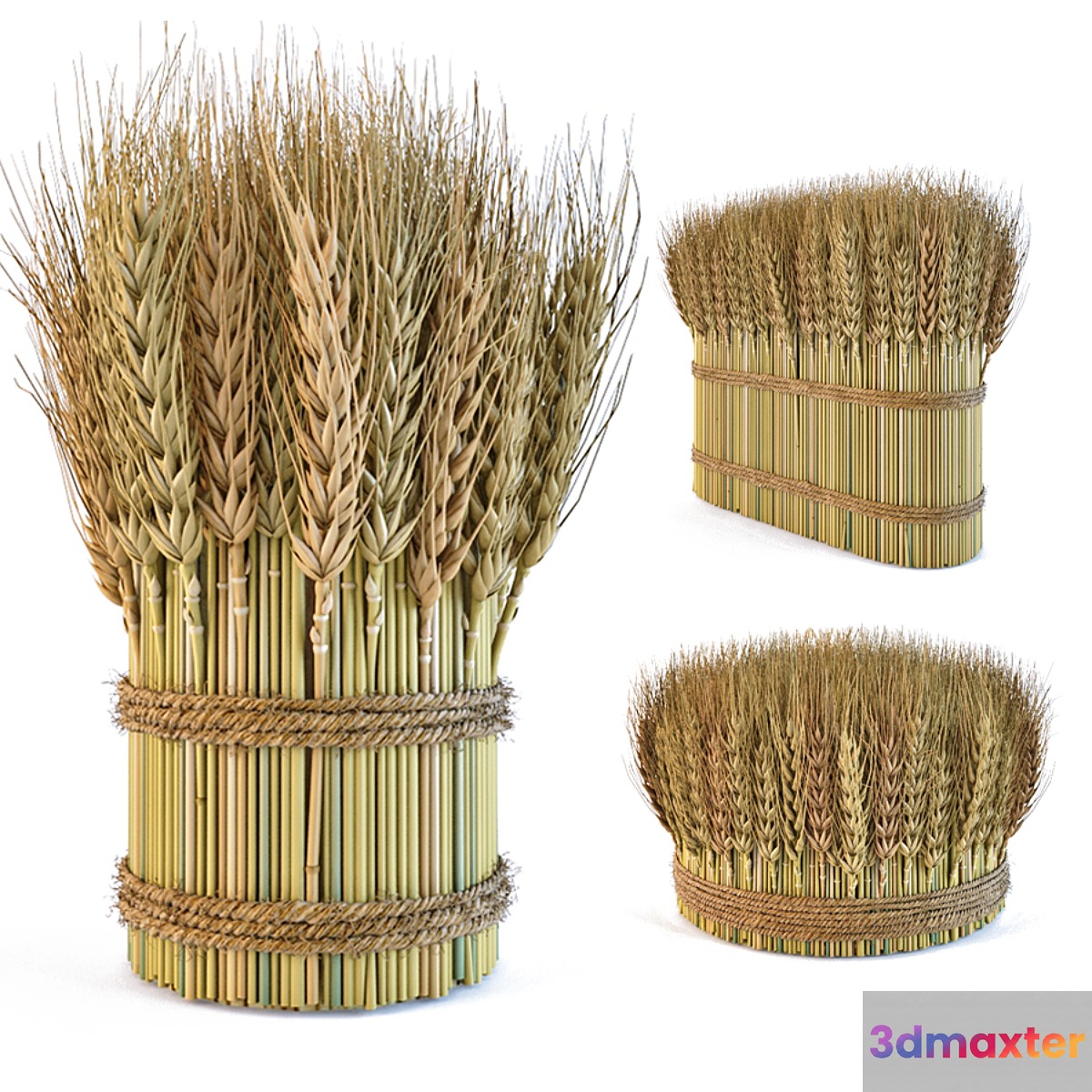 Decorative sheaves of wheat ears 2 3D Max