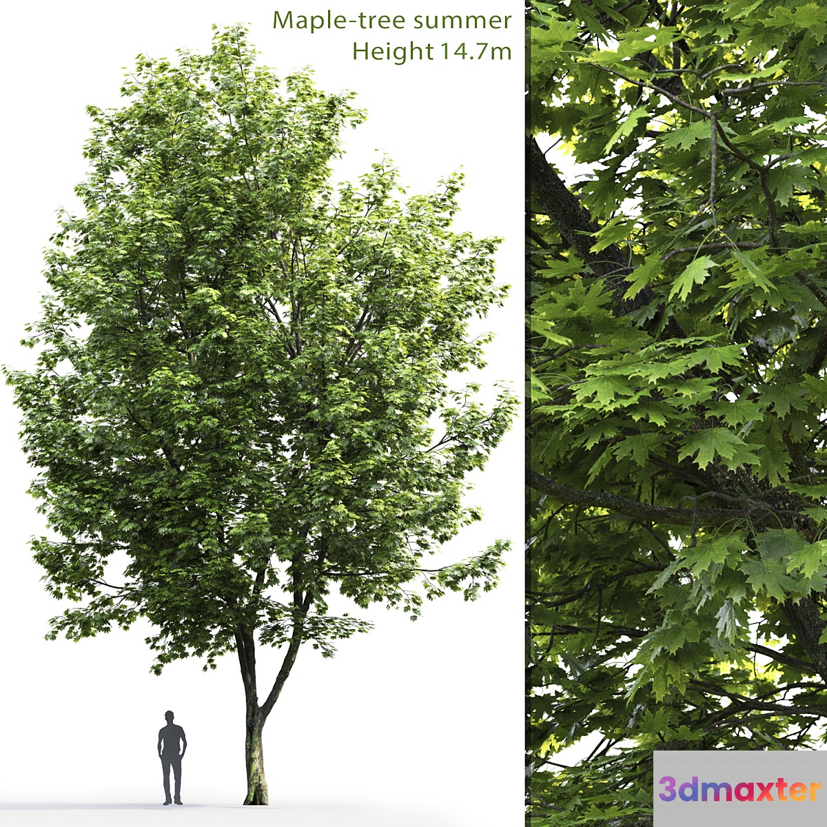 Acer 3D Max
