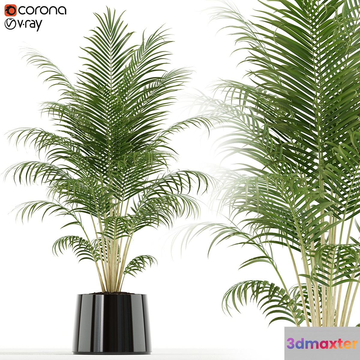 Plants collection 148 3D Max